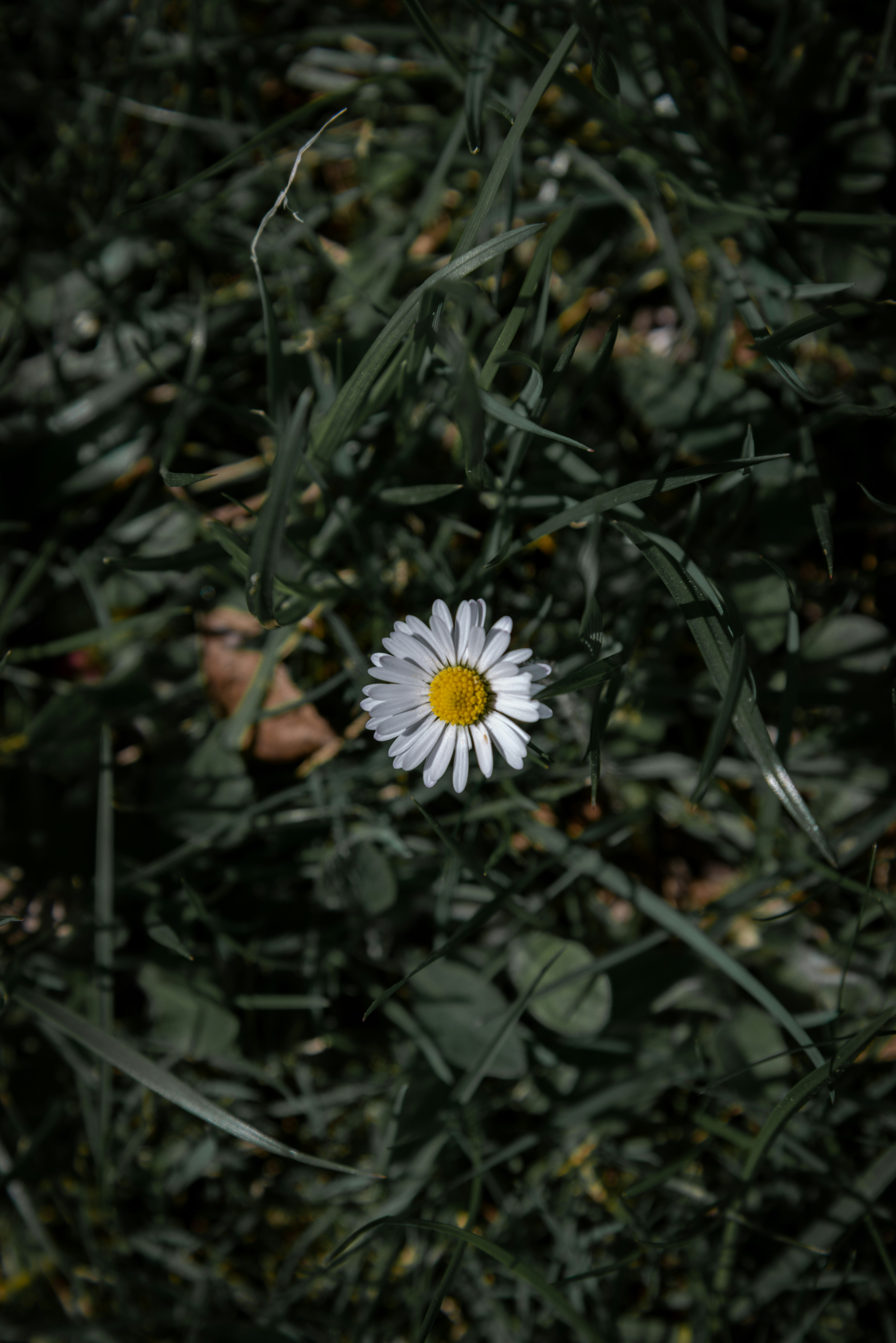 Photo by malwinanogaj