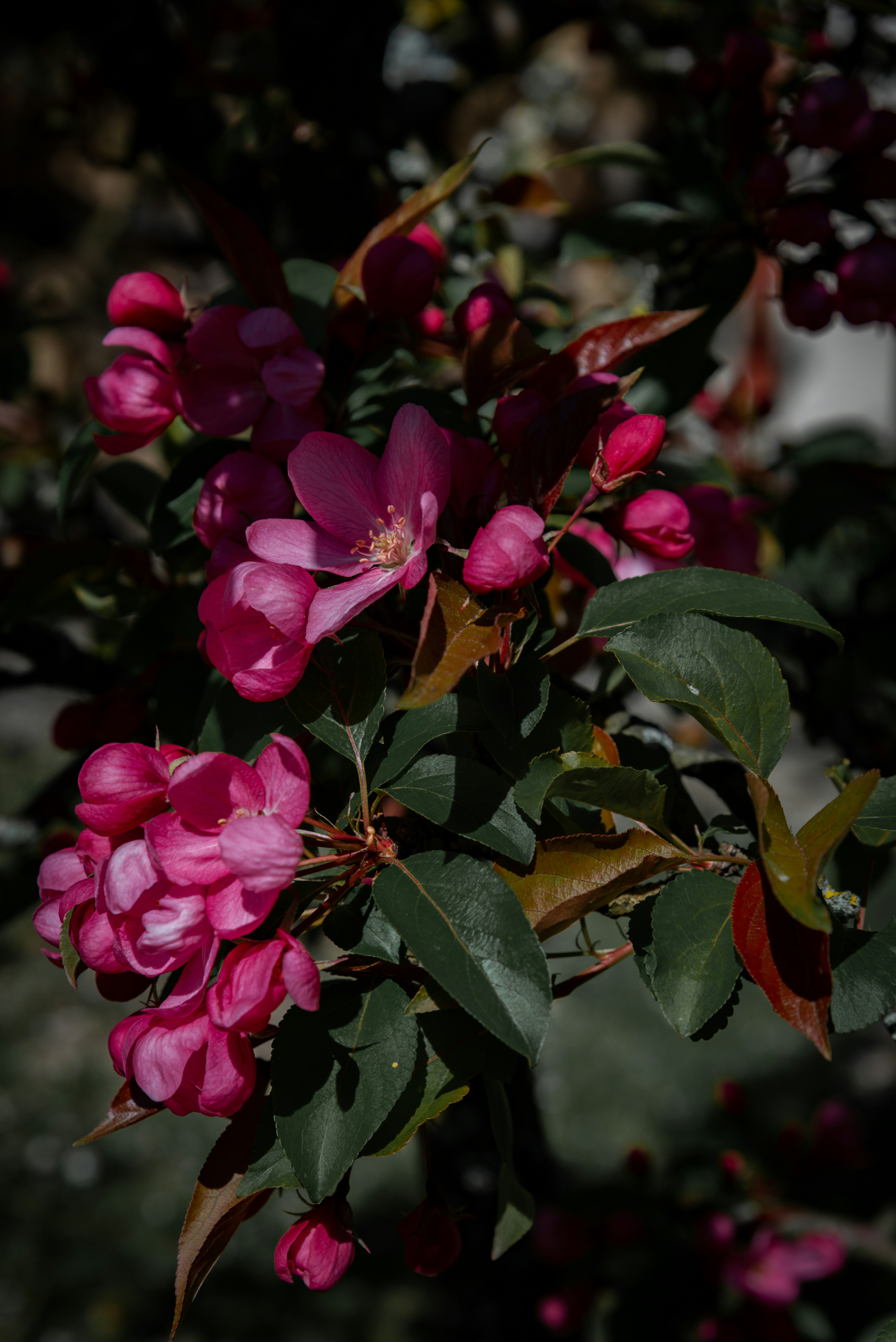 Photo by malwinanogaj