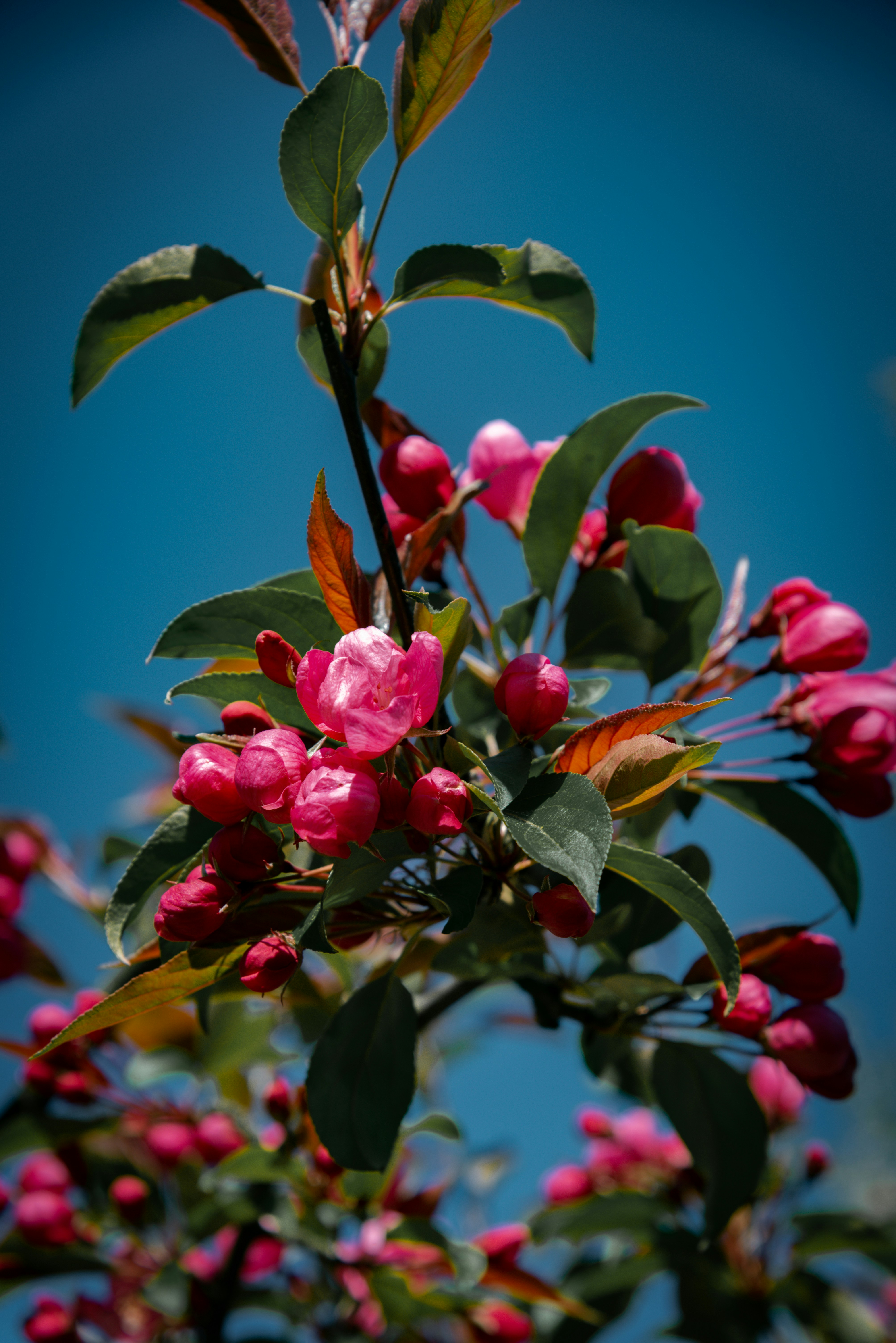 Photo by malwinanogaj