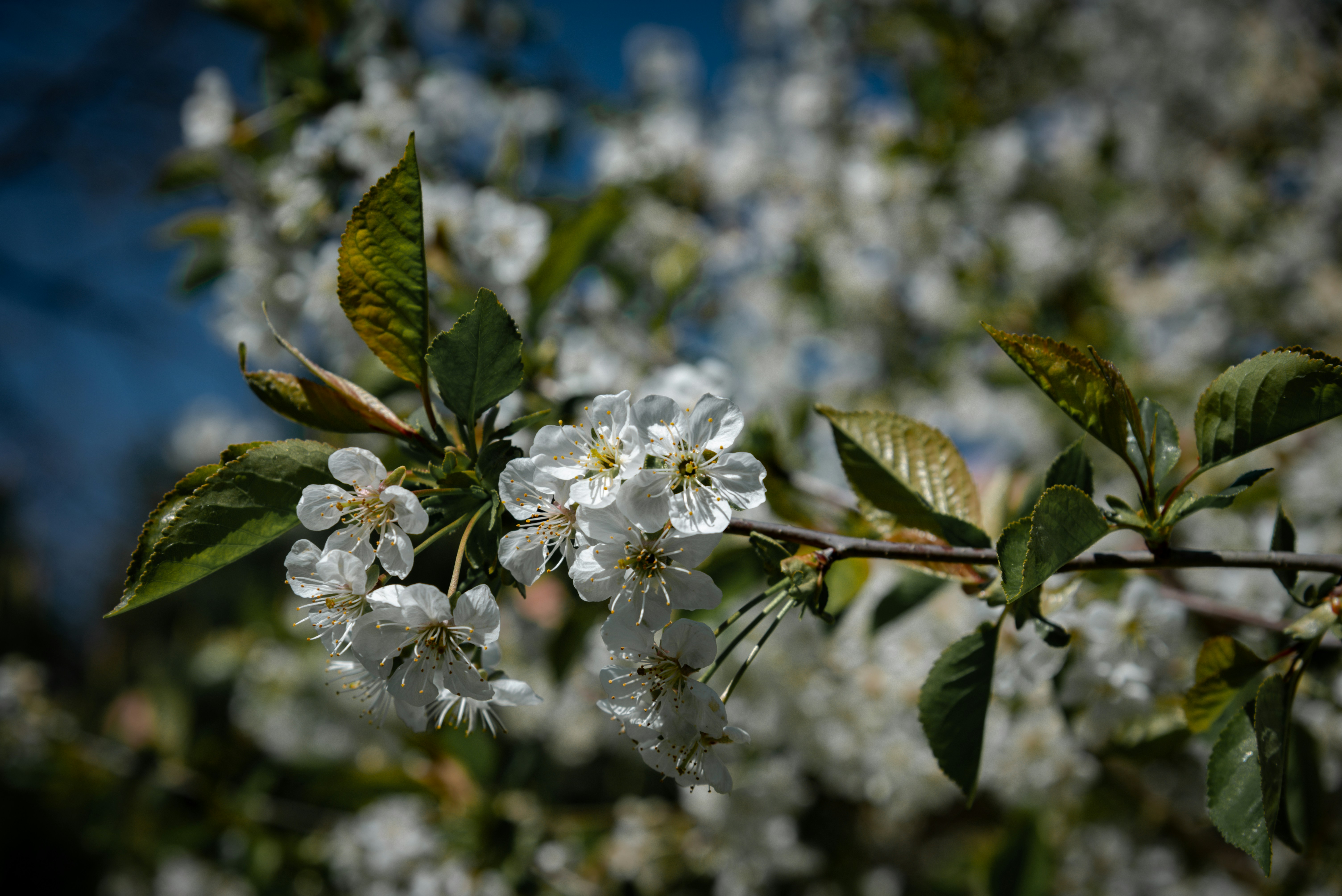 Photo by malwinanogaj