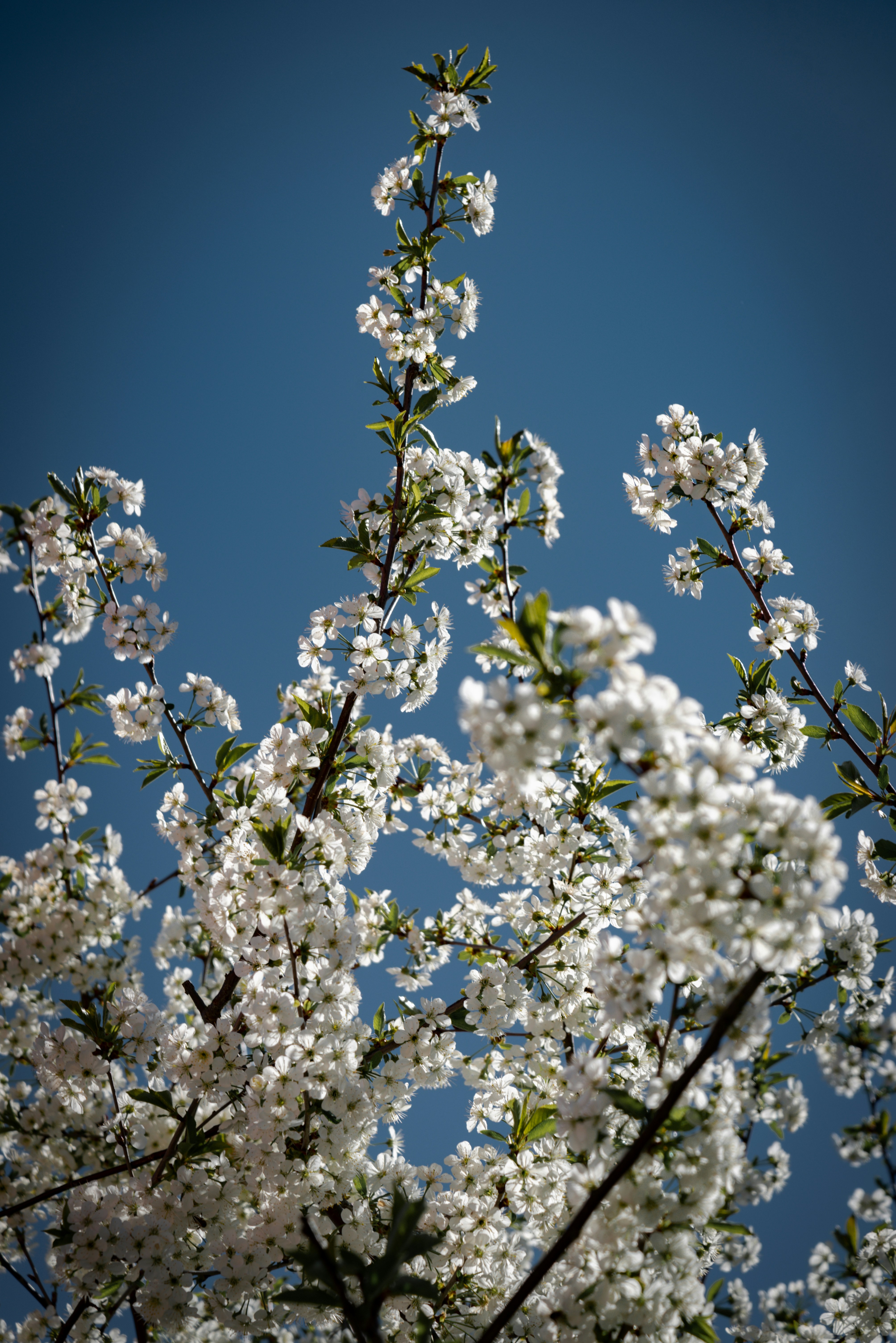 Photo by malwinanogaj