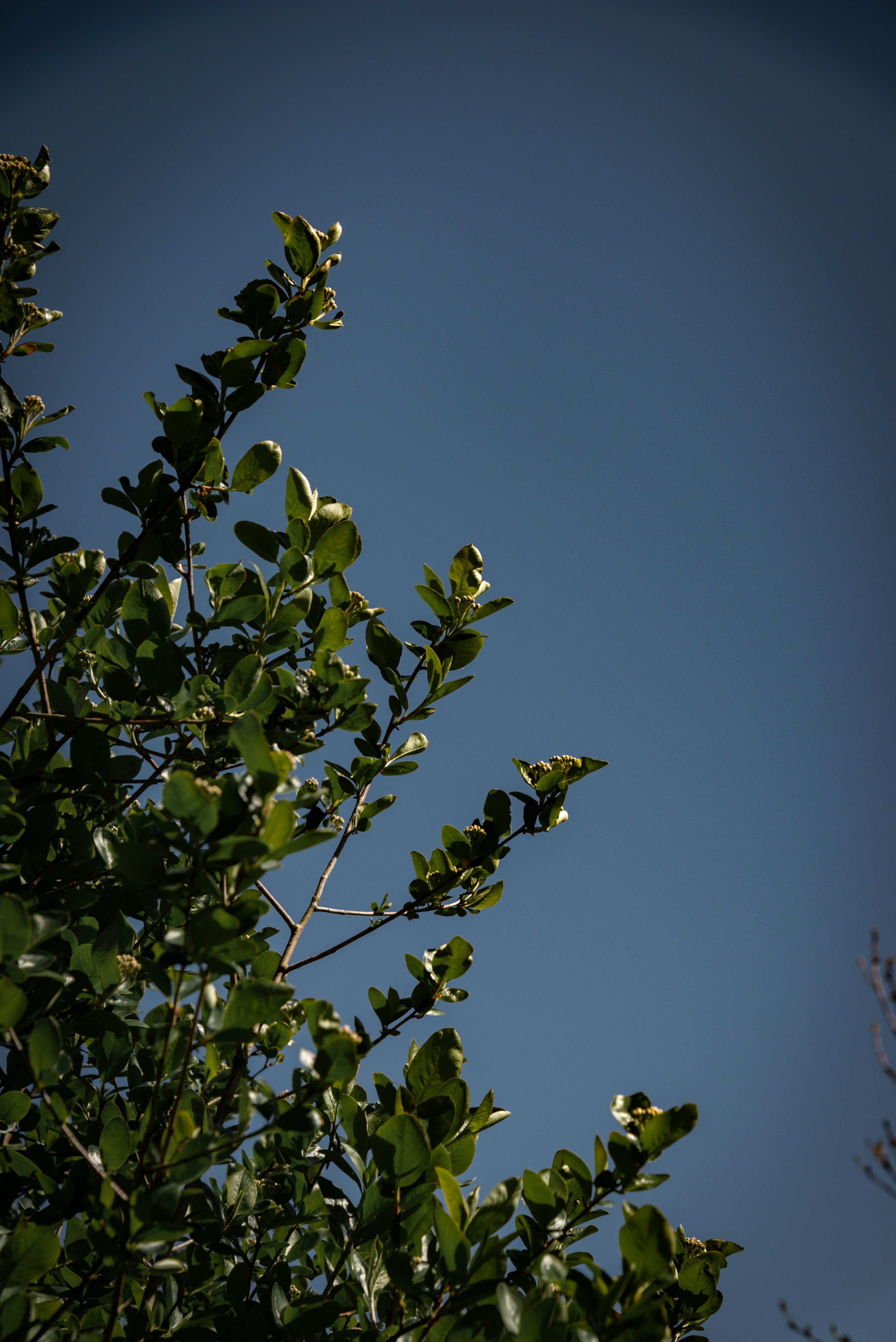 Photo by malwinanogaj