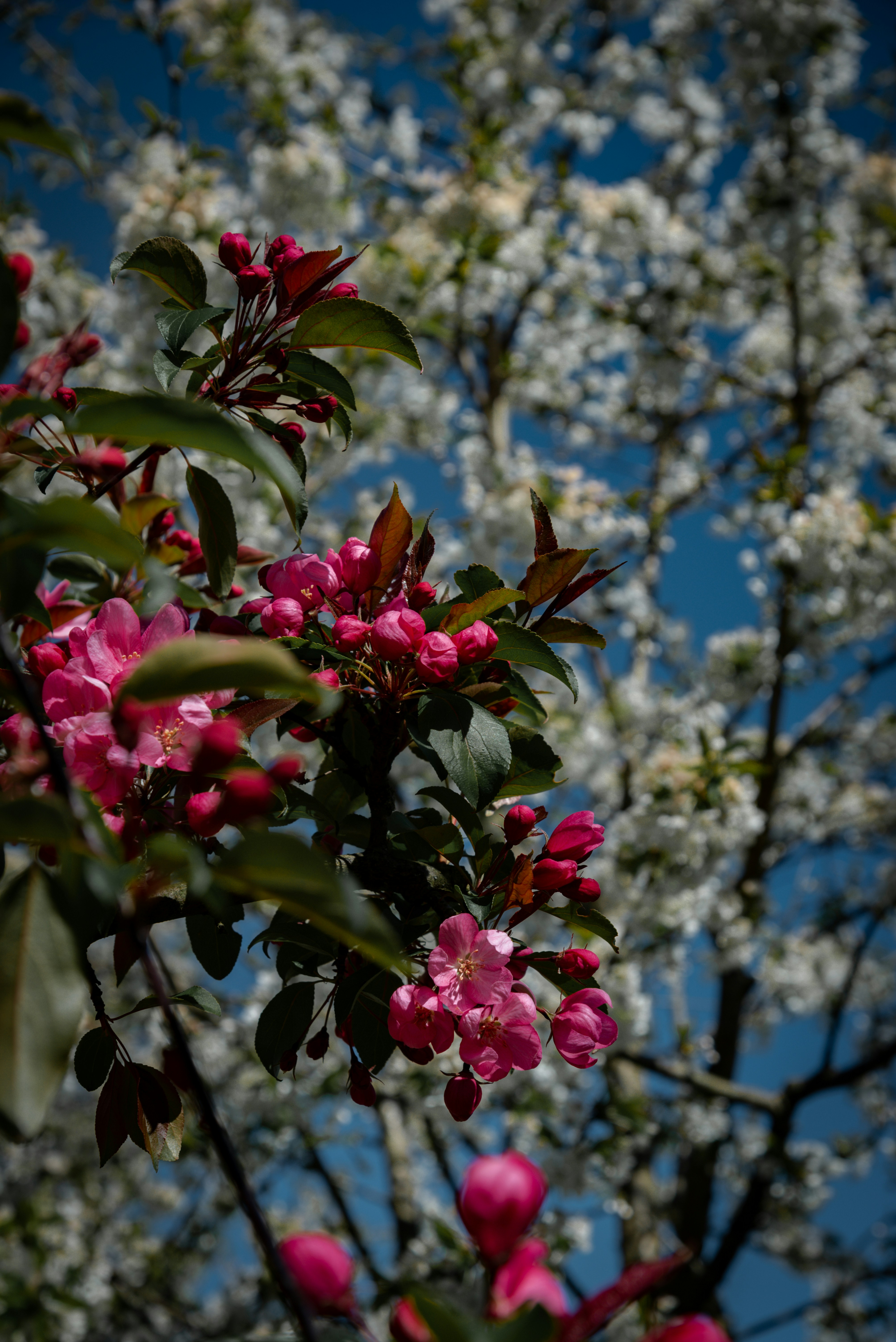Photo by malwinanogaj