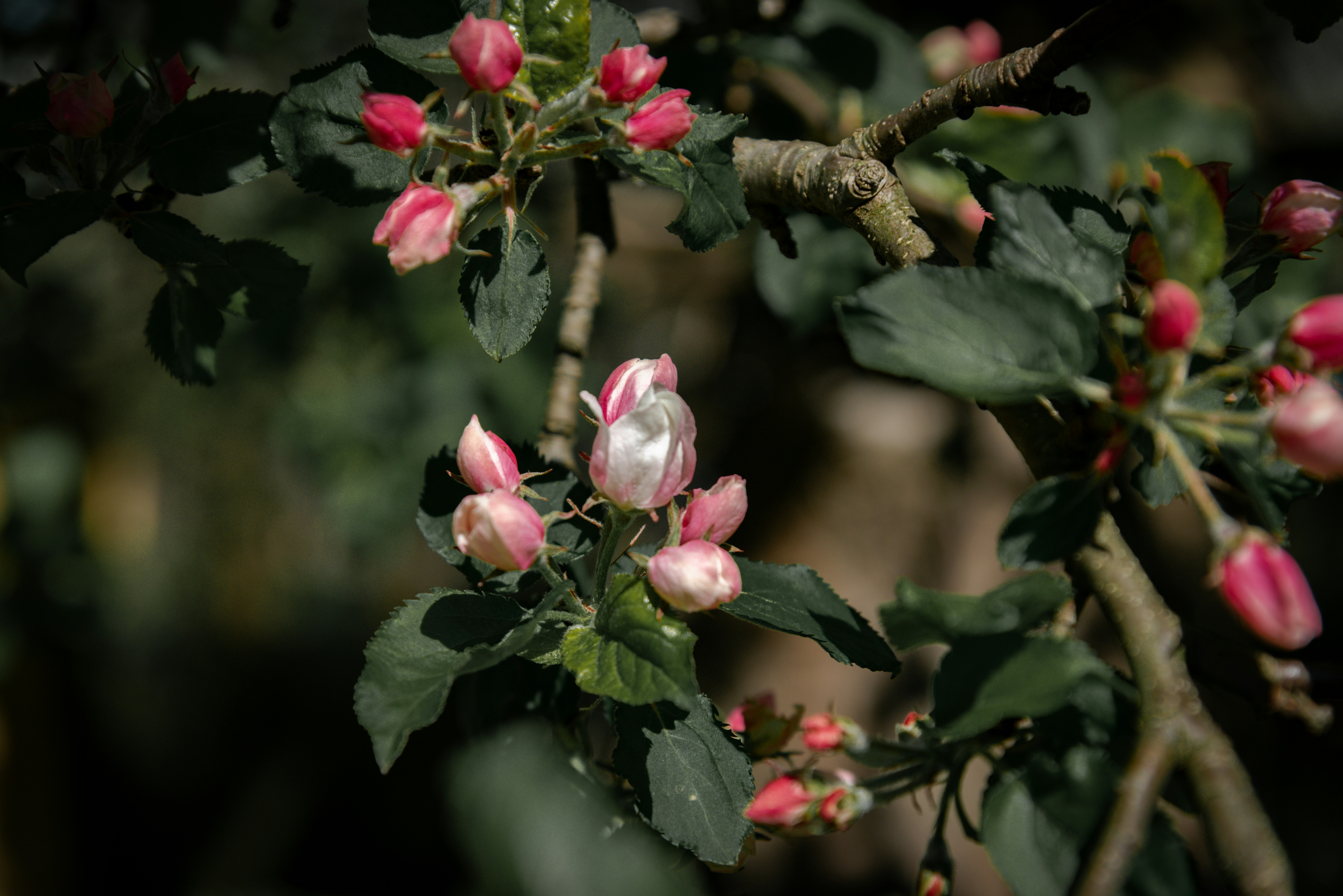 Photo by malwinanogaj