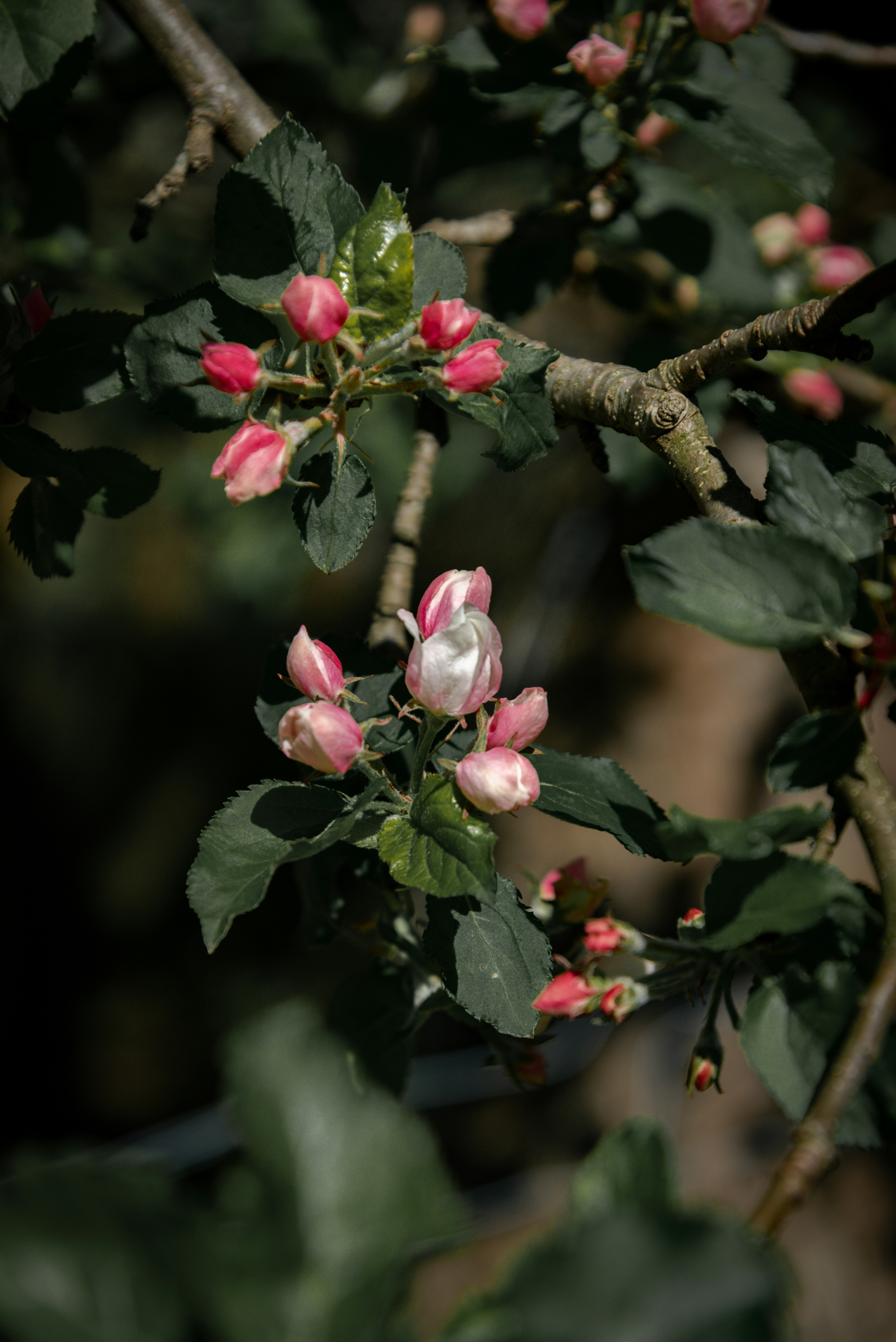 Photo by malwinanogaj