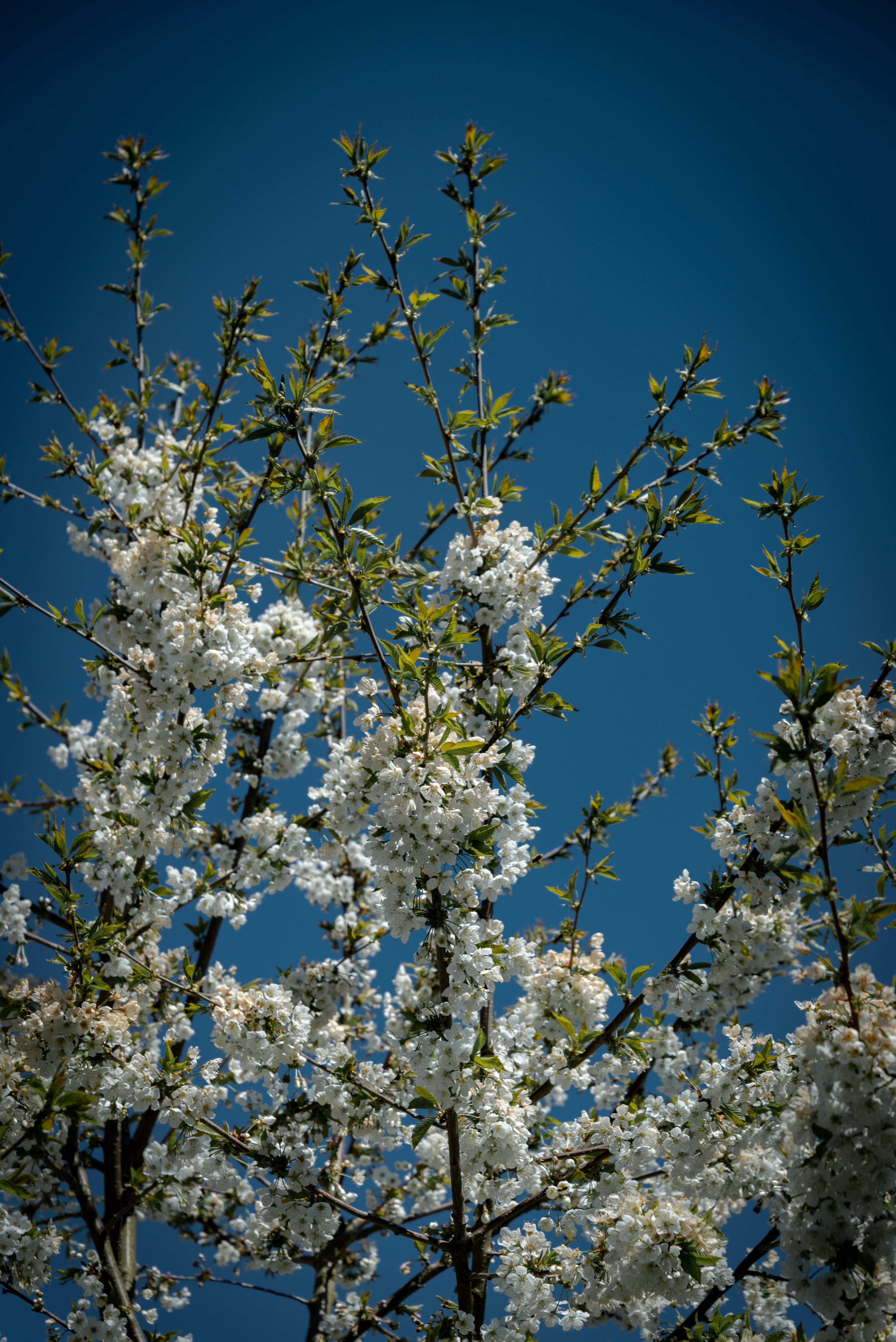 Photo by malwinanogaj