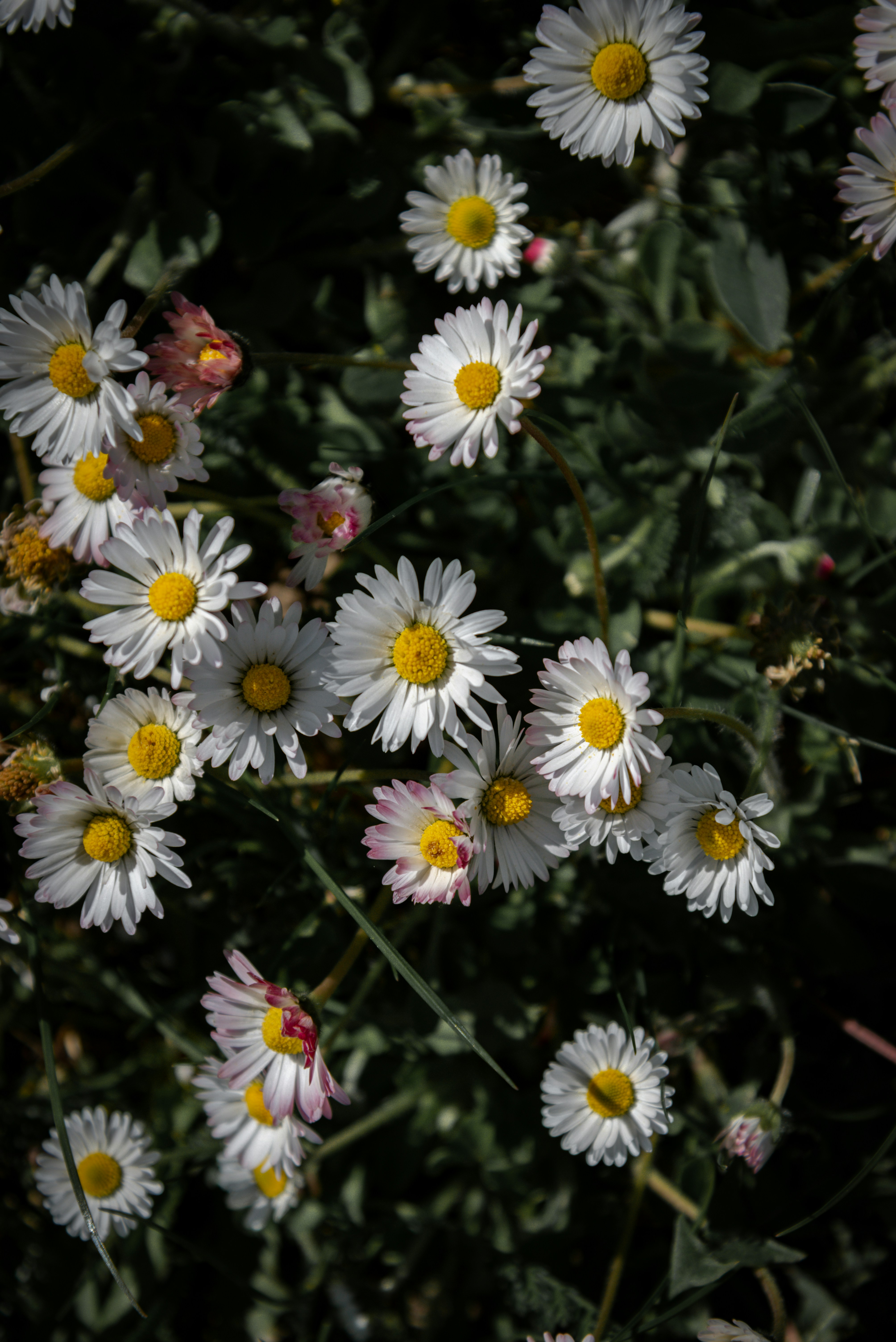 Photo by malwinanogaj