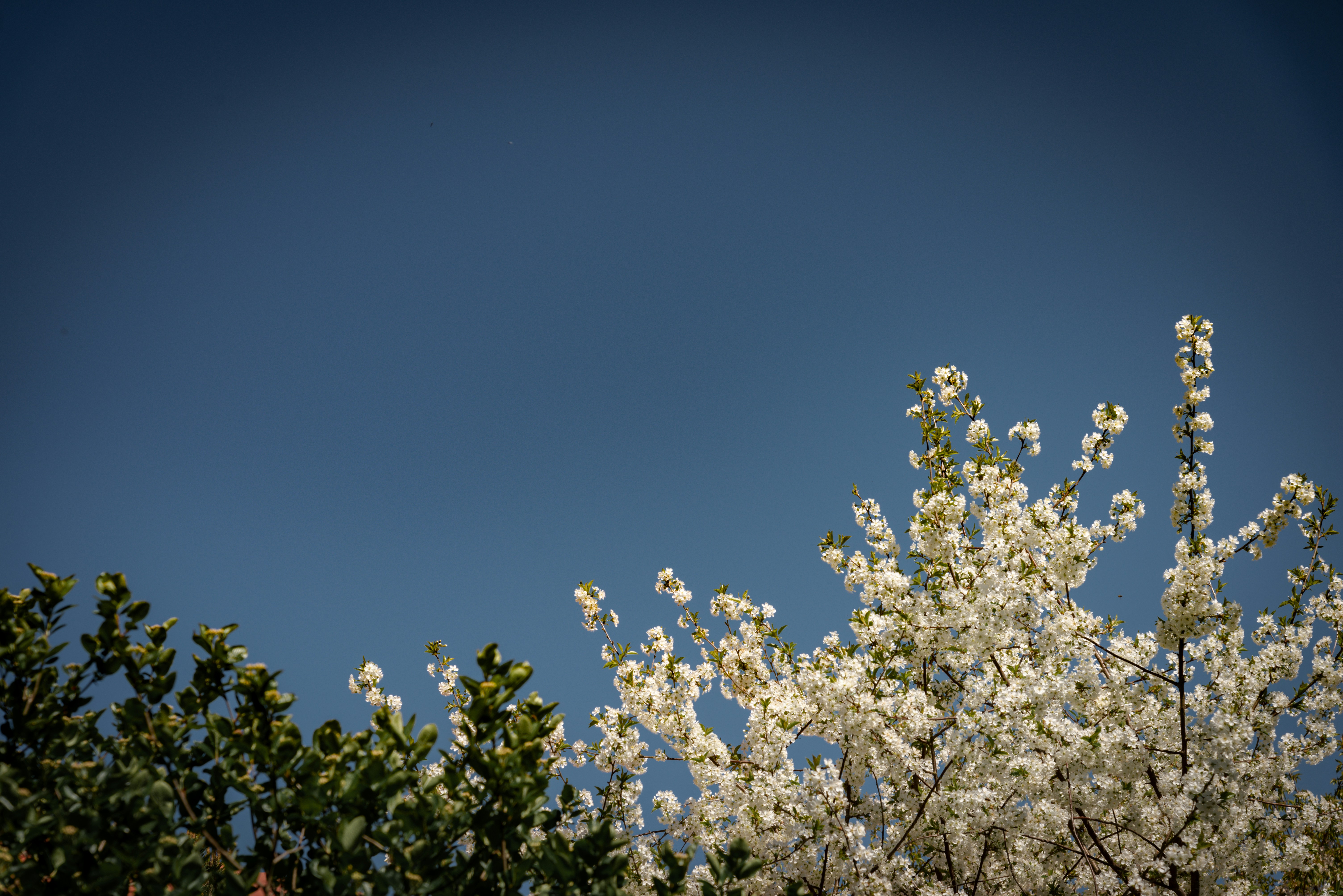 Photo by malwinanogaj