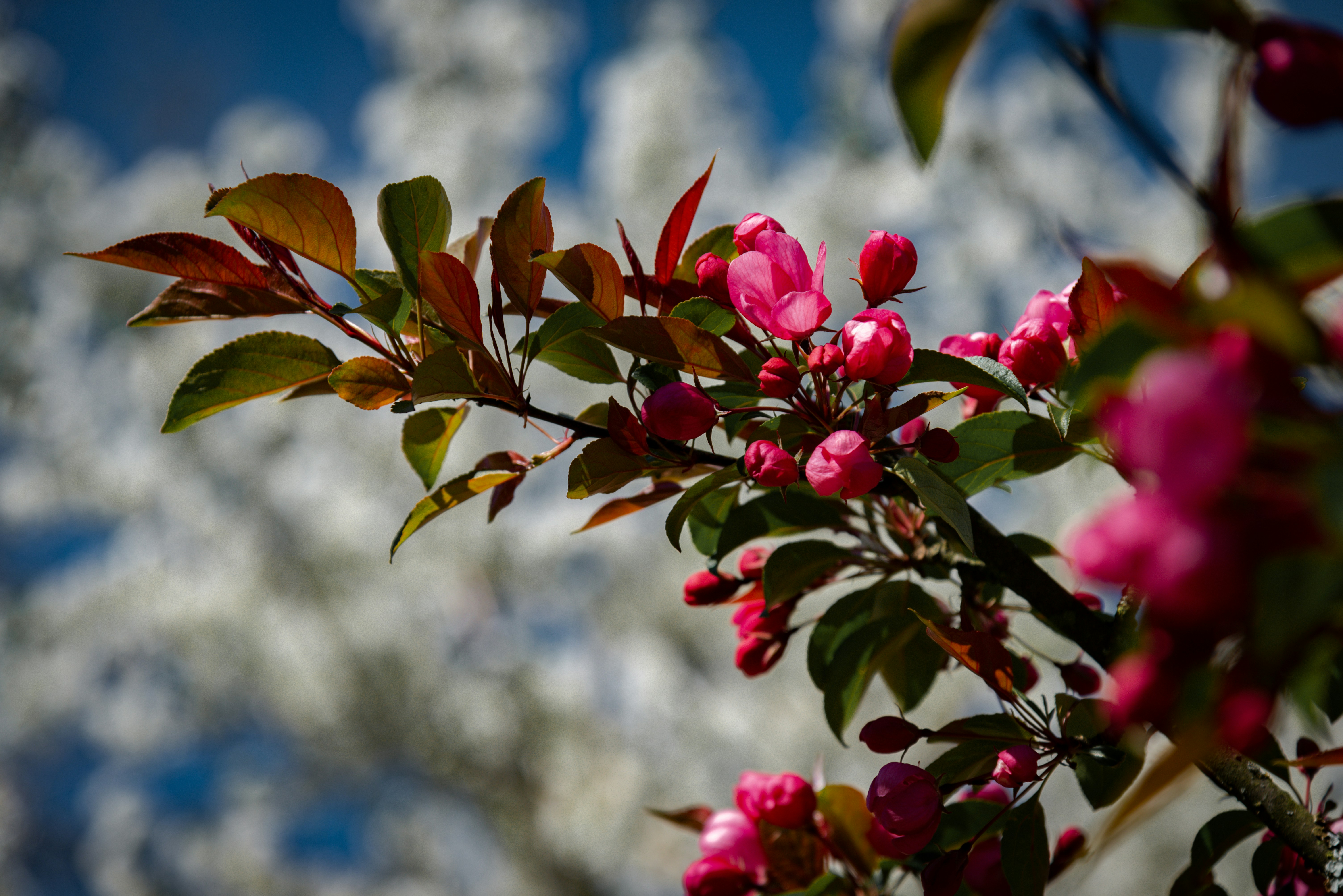 Photo by malwinanogaj