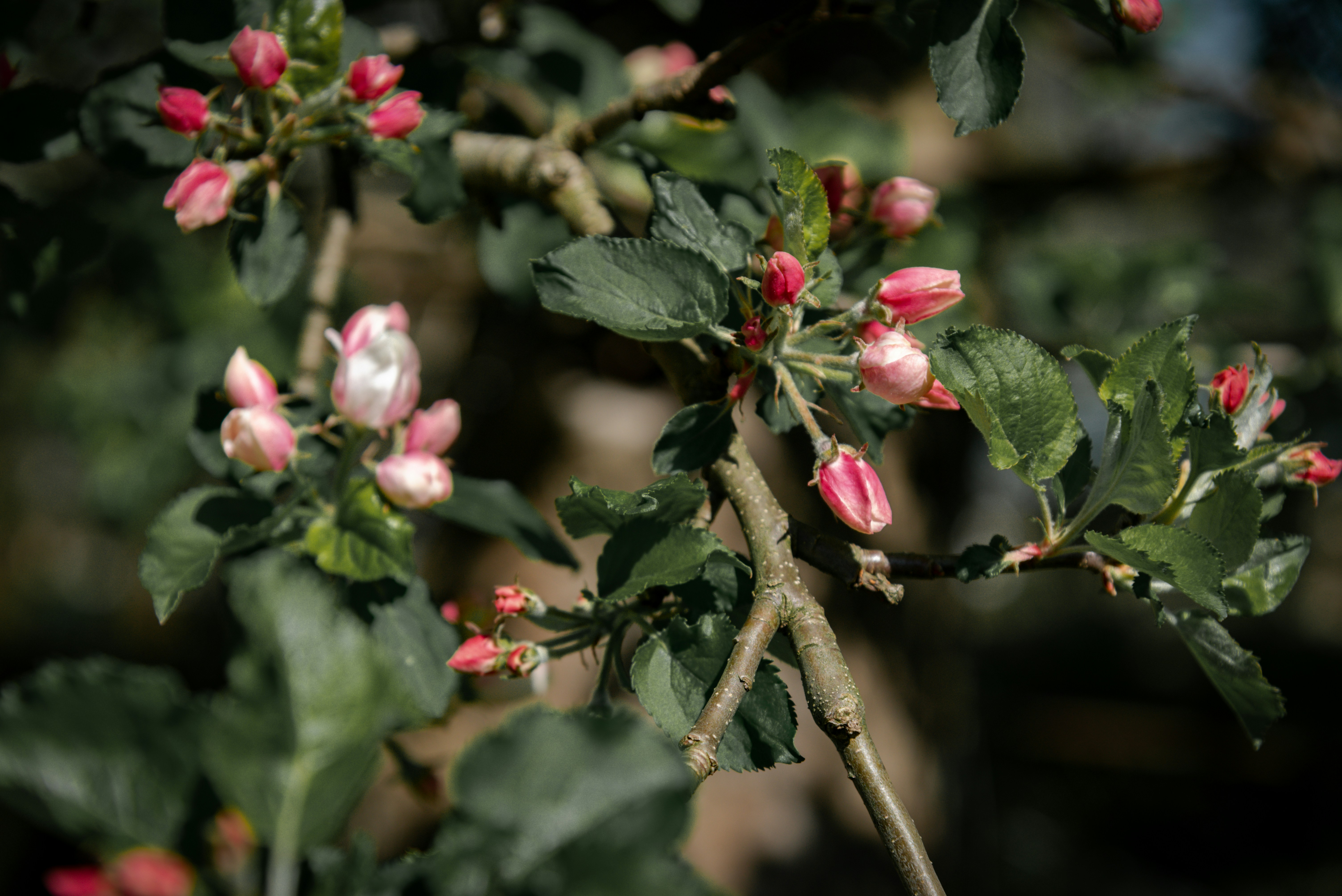 Photo by malwinanogaj