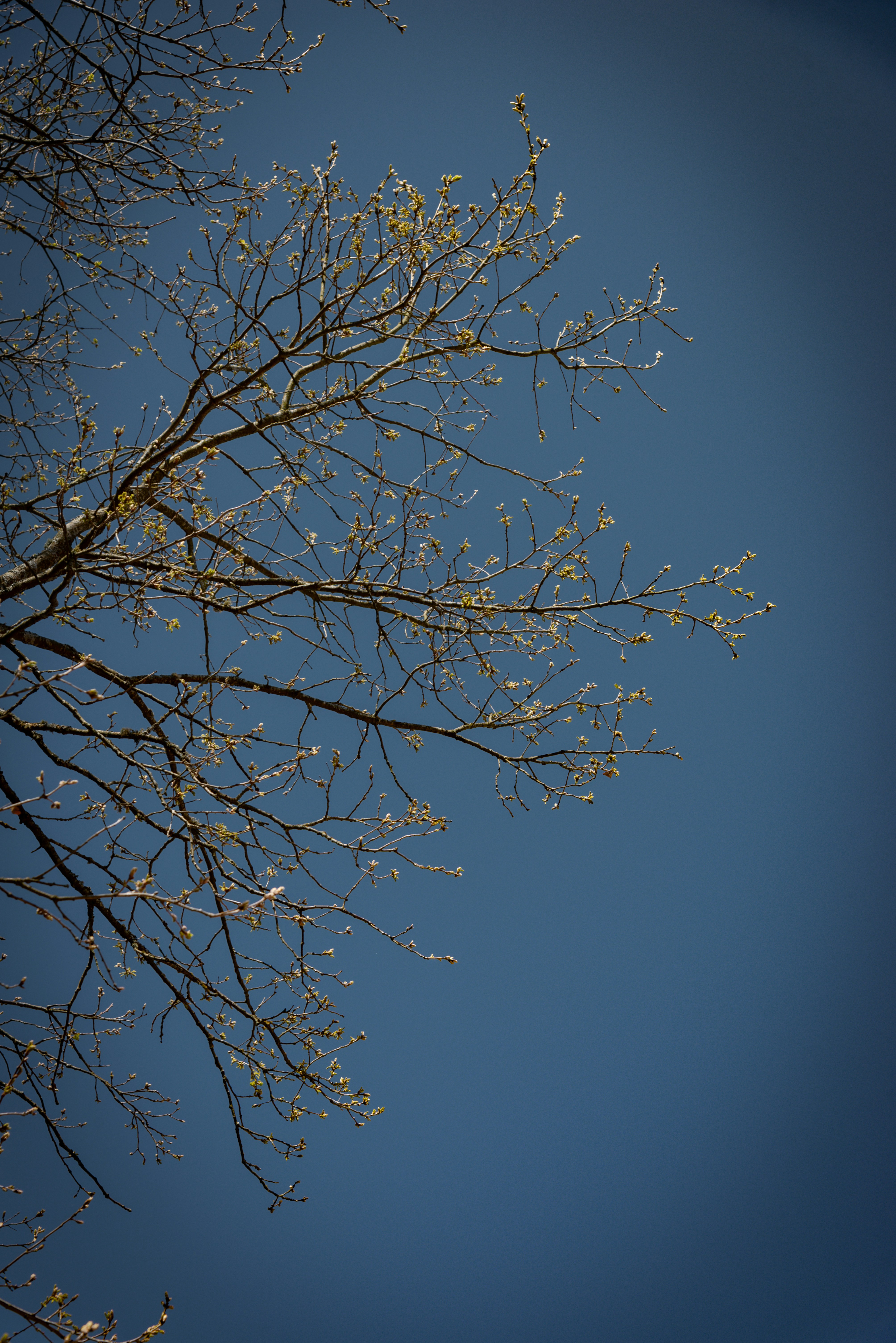 Photo by malwinanogaj