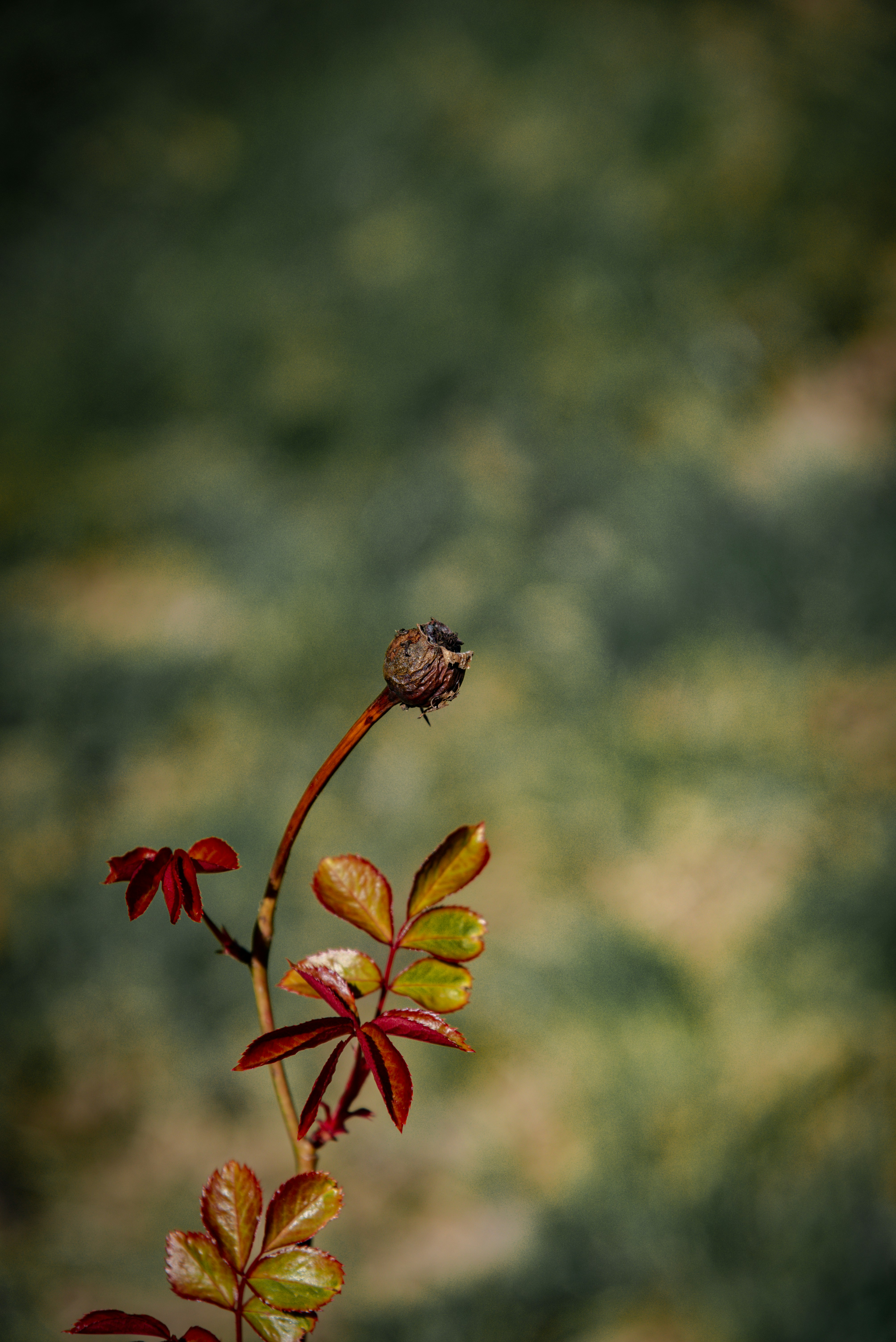 Photo by malwinanogaj