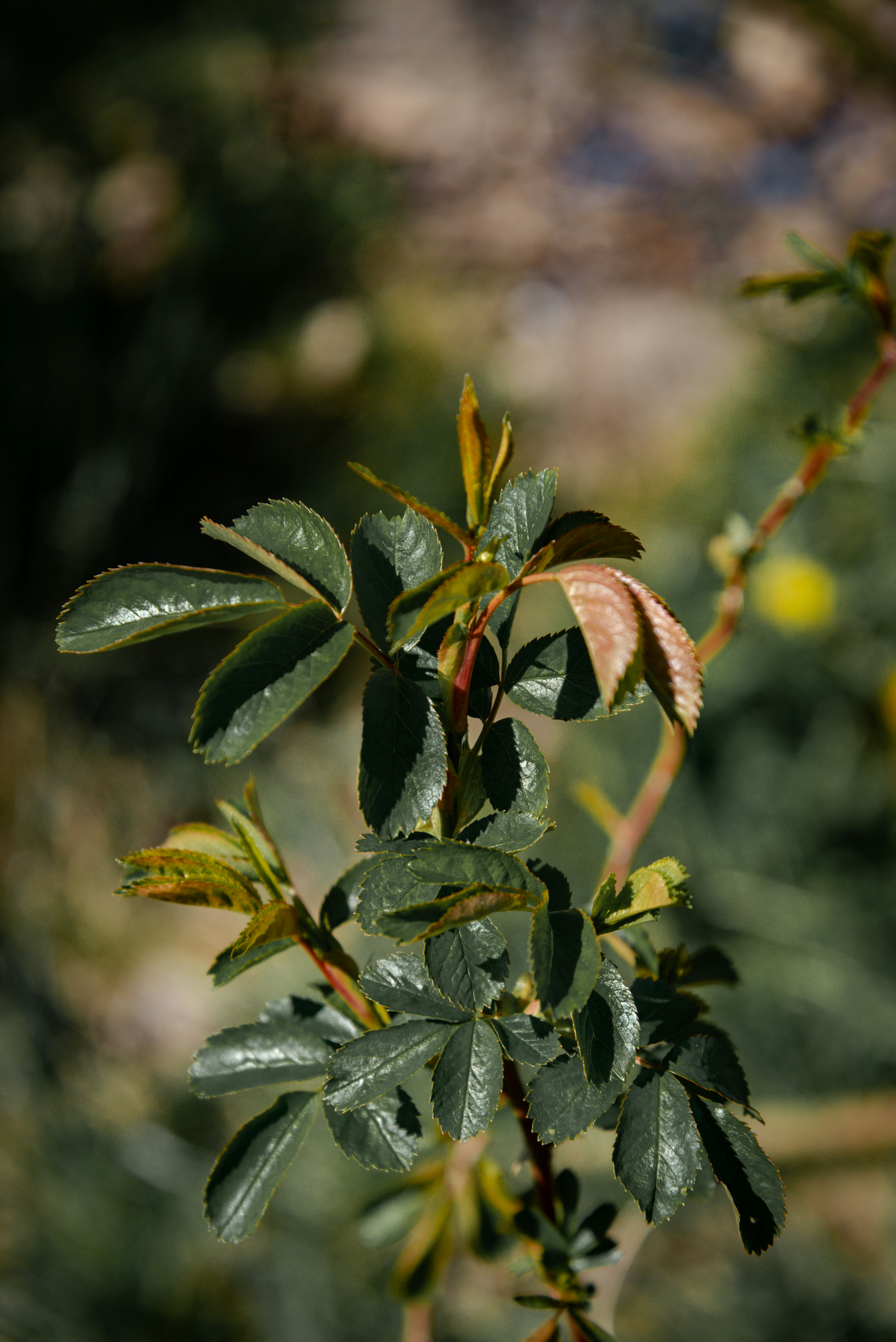 Photo by malwinanogaj