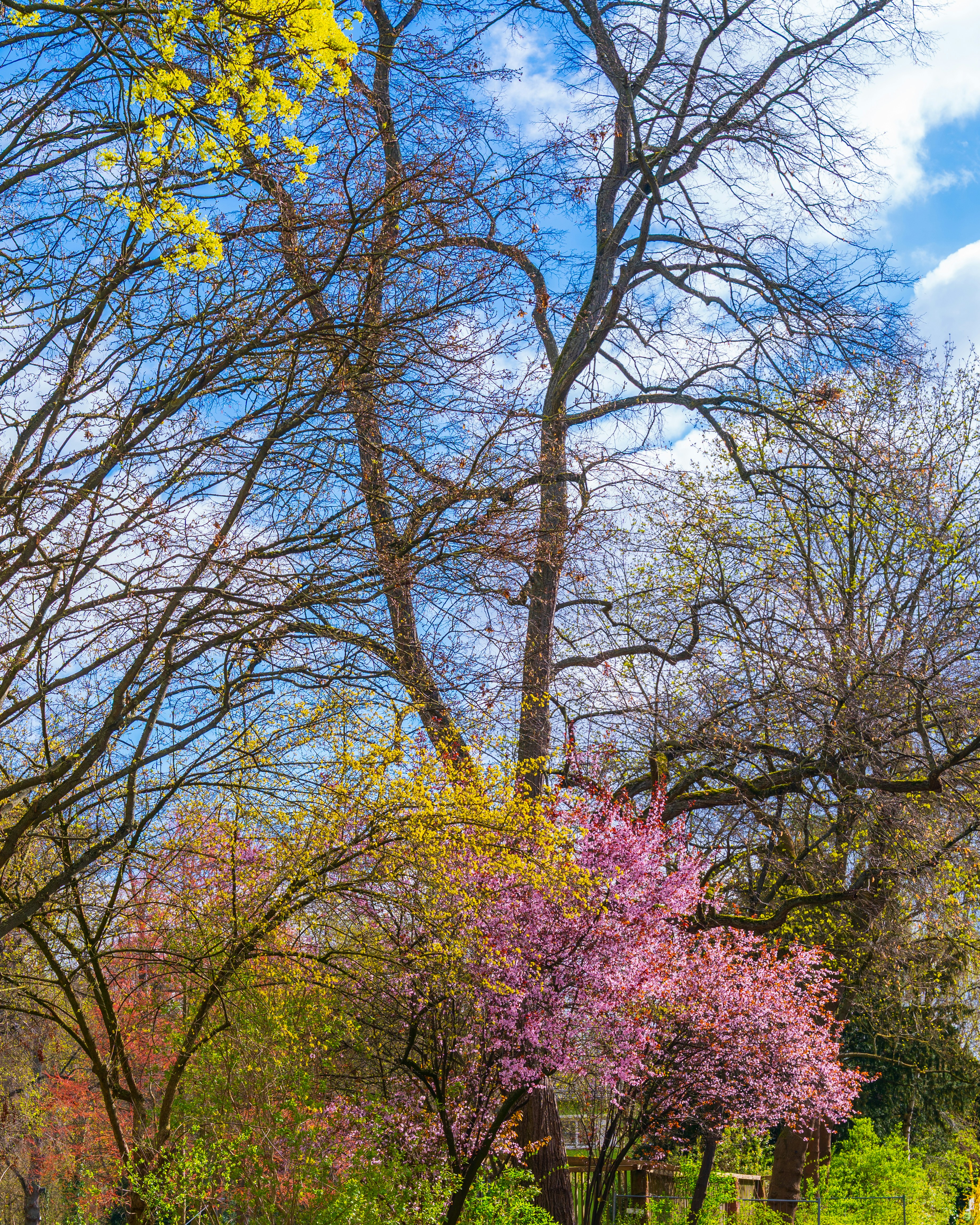 Photo by bangscreative