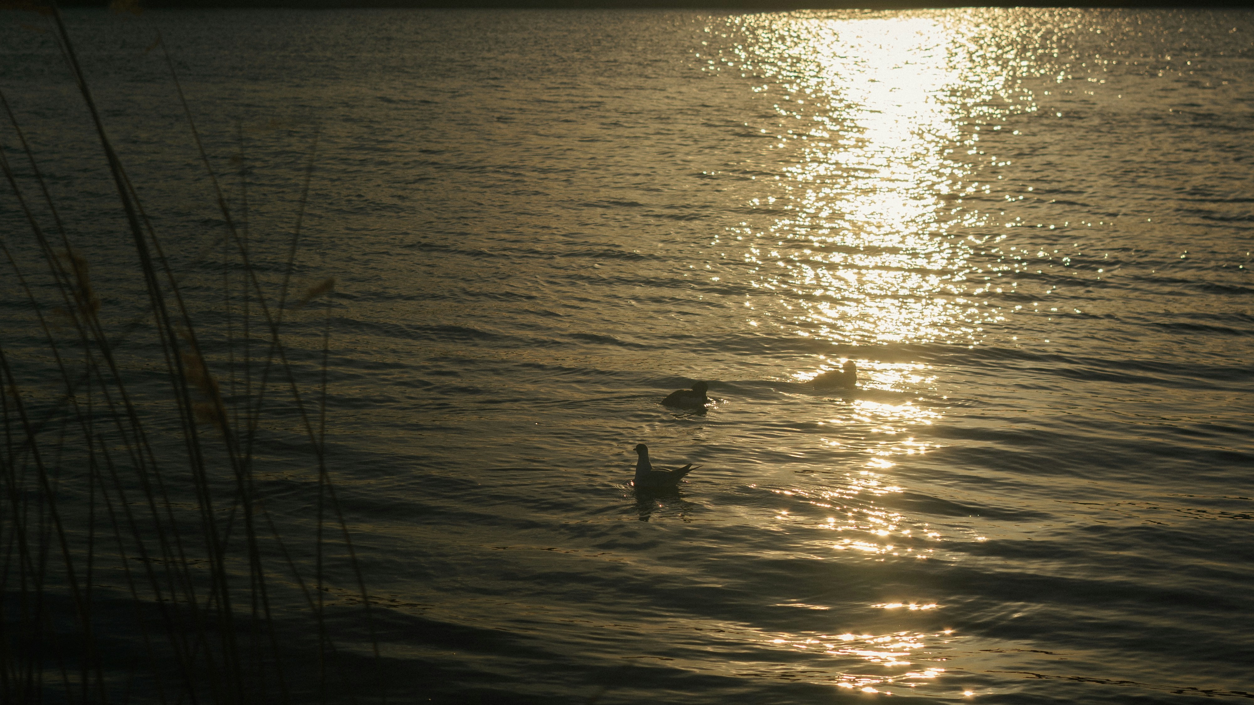 Photo by userwithcamera