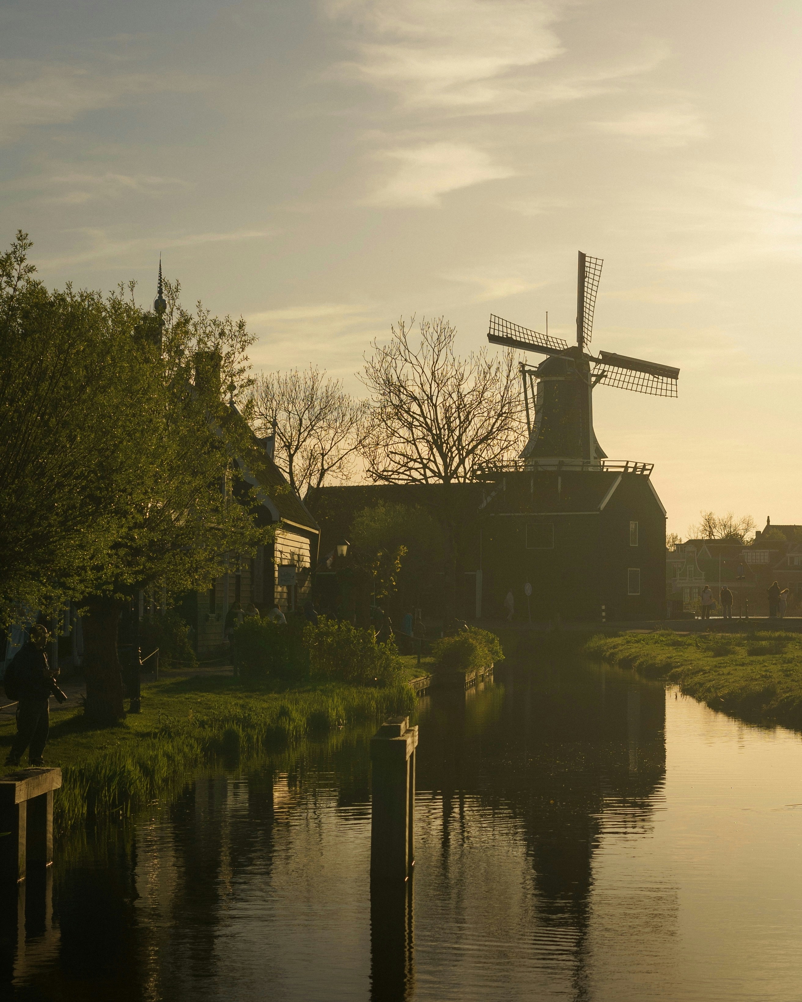 Photo by userwithcamera