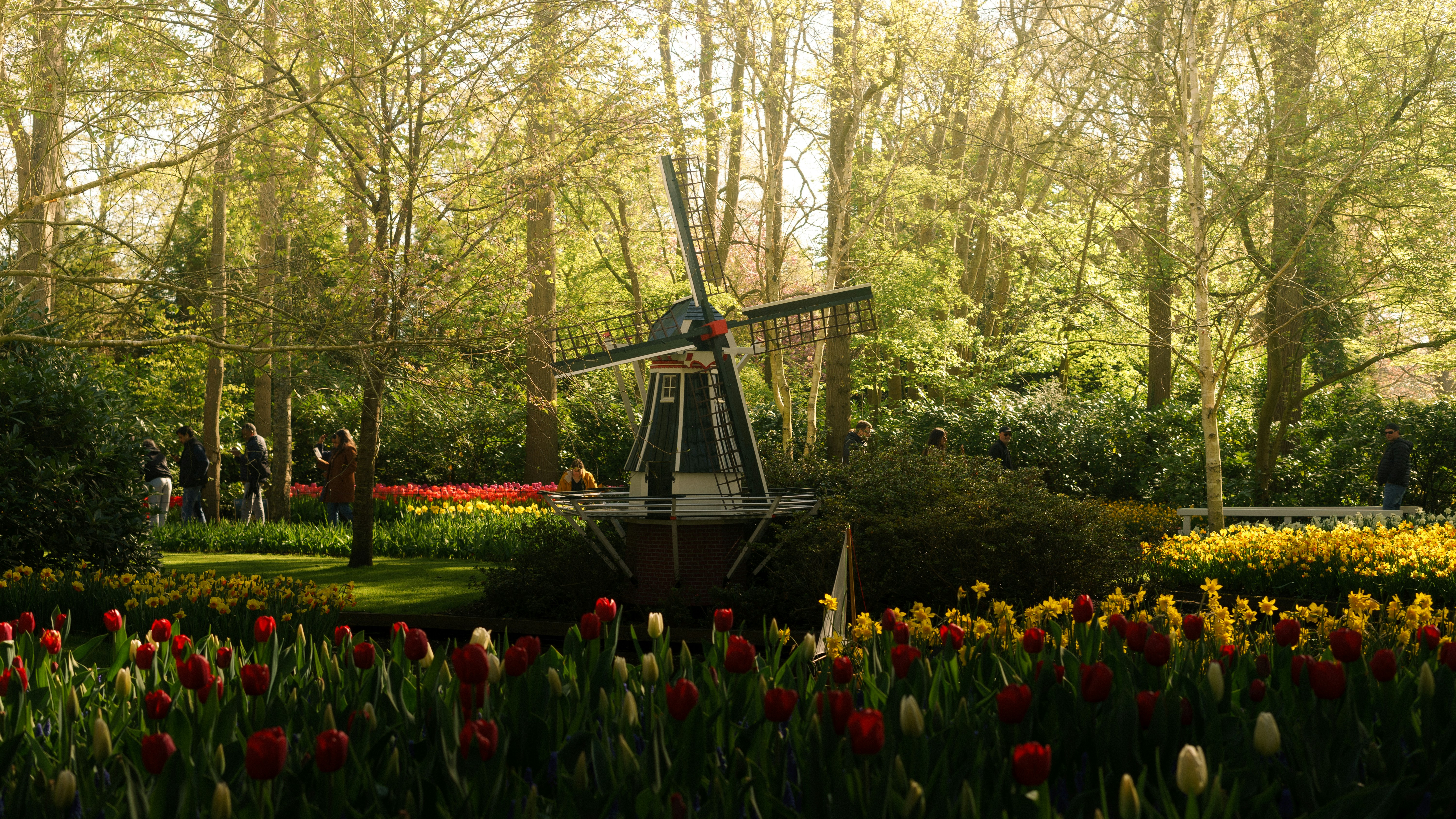 Opera Holland Park Celebrates 30 Years of Performance Excellence