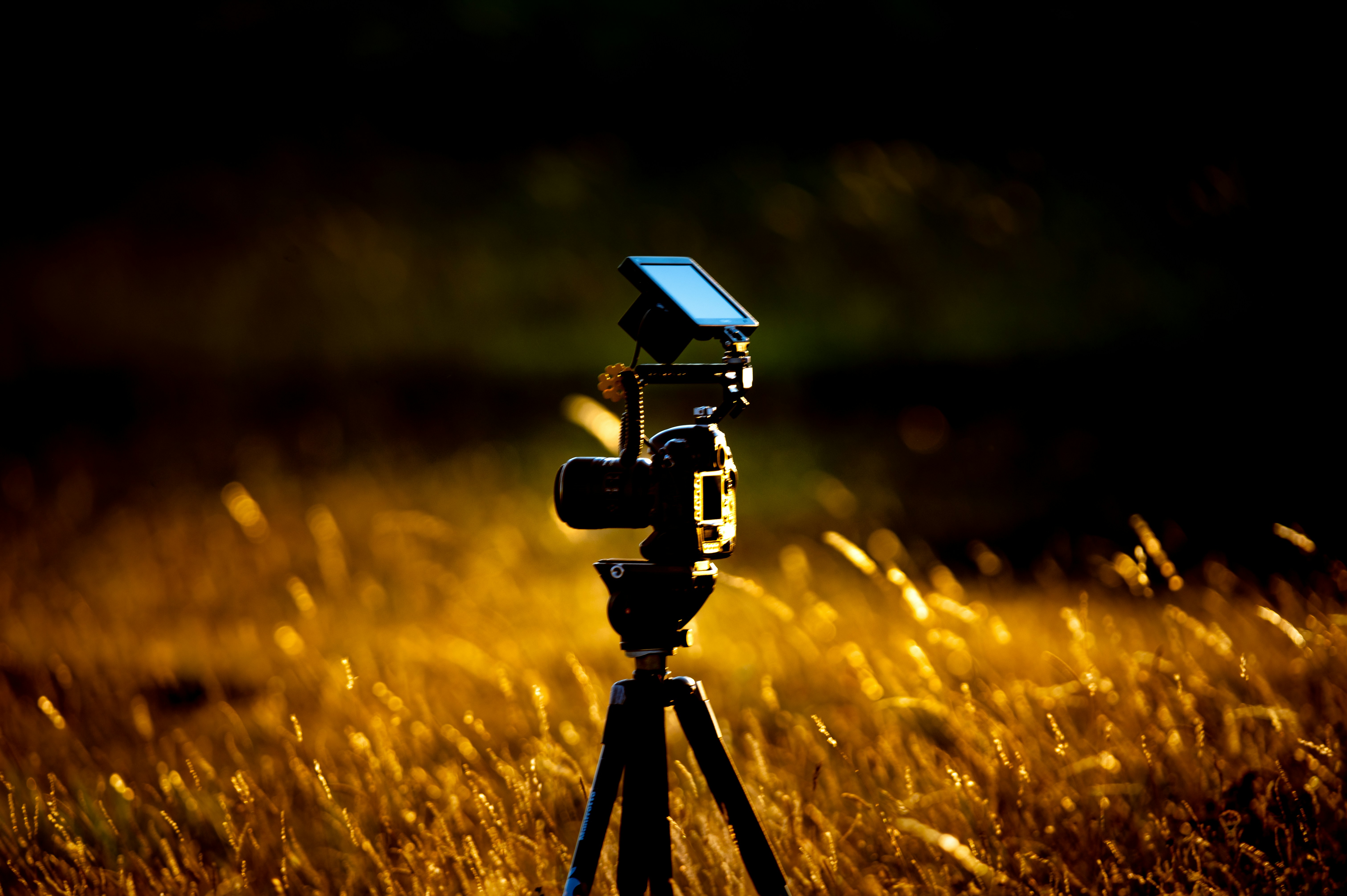 A camera is set up in a field.