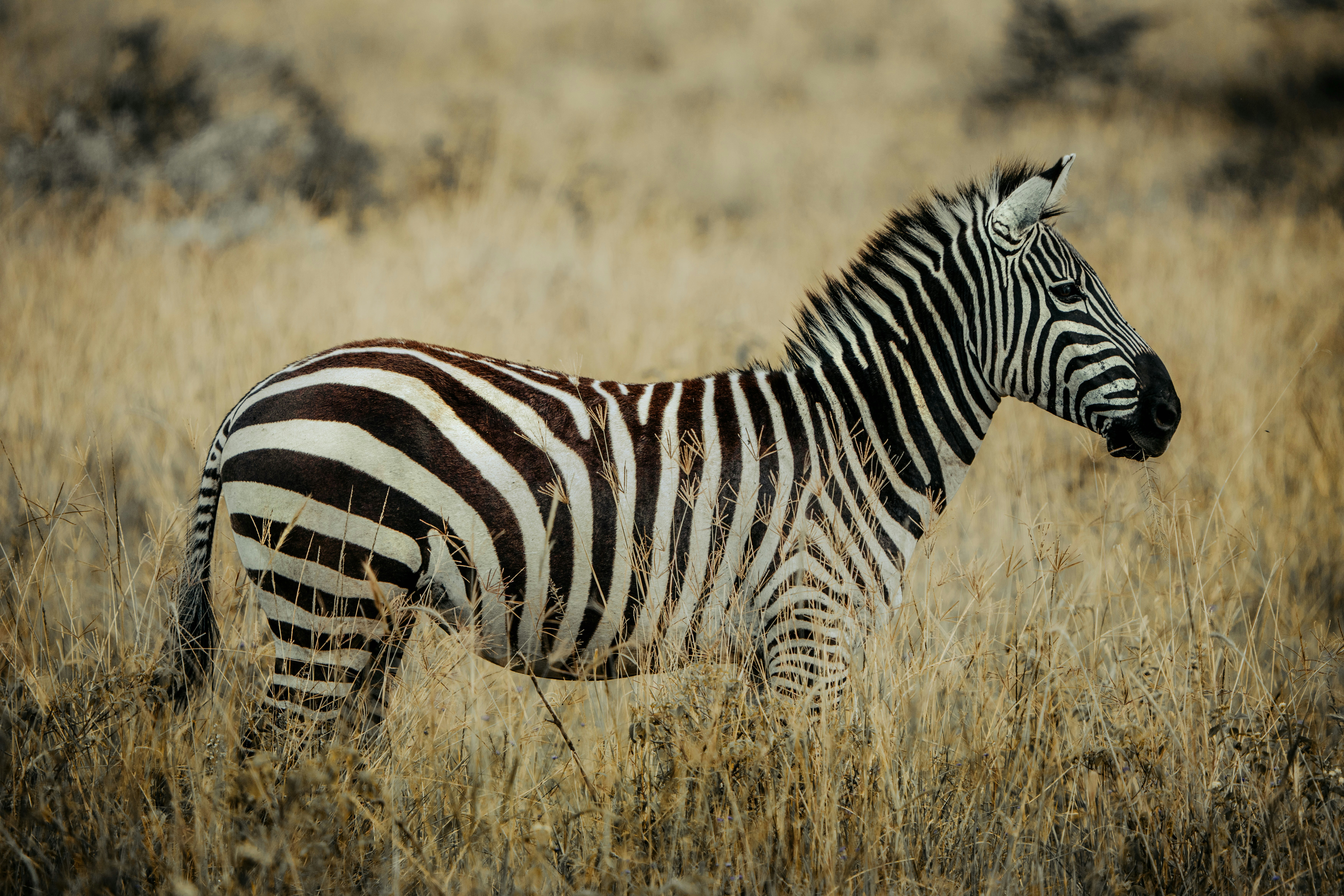 Photo by matthewryanstephenson