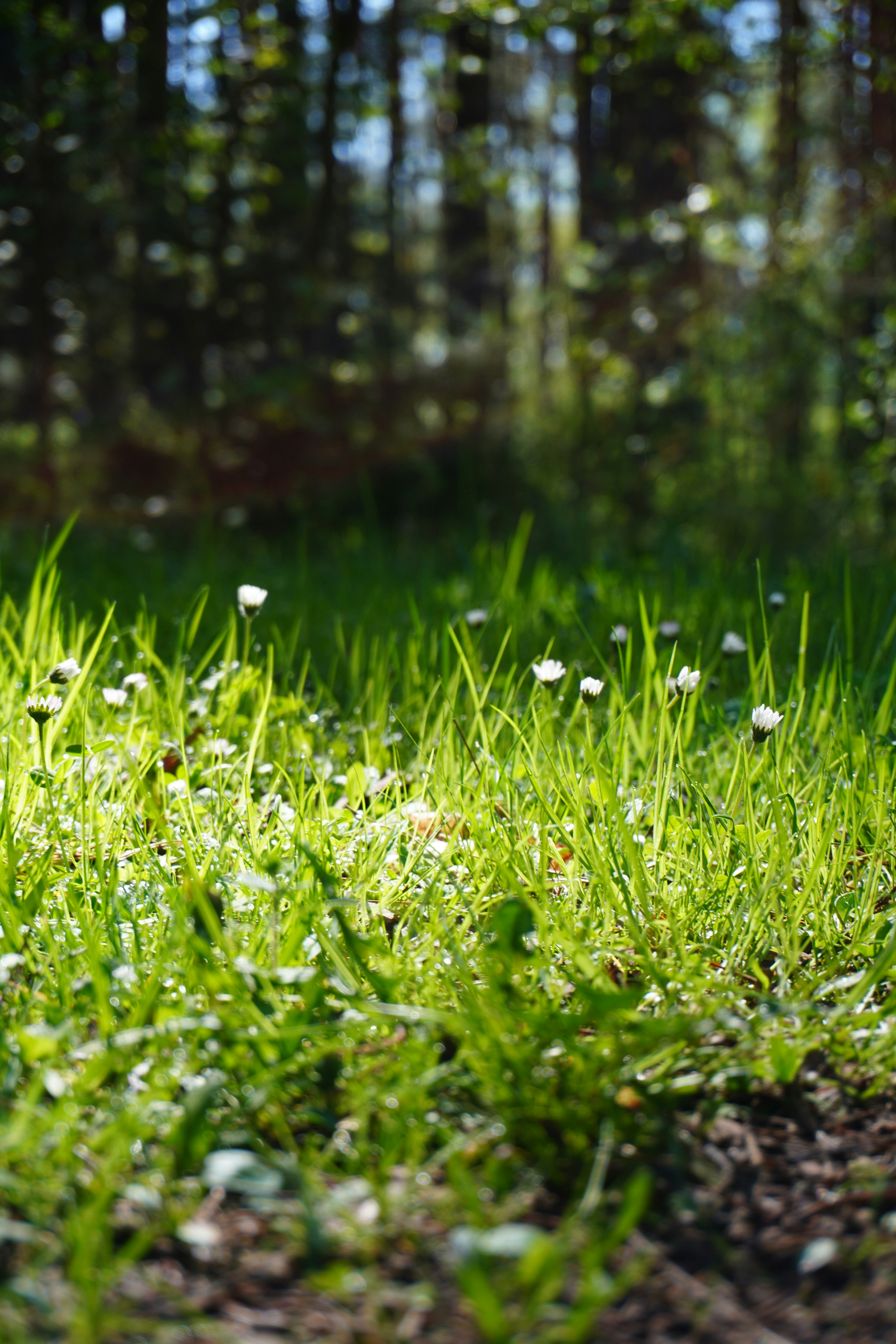 Photo by photographydamiankokot