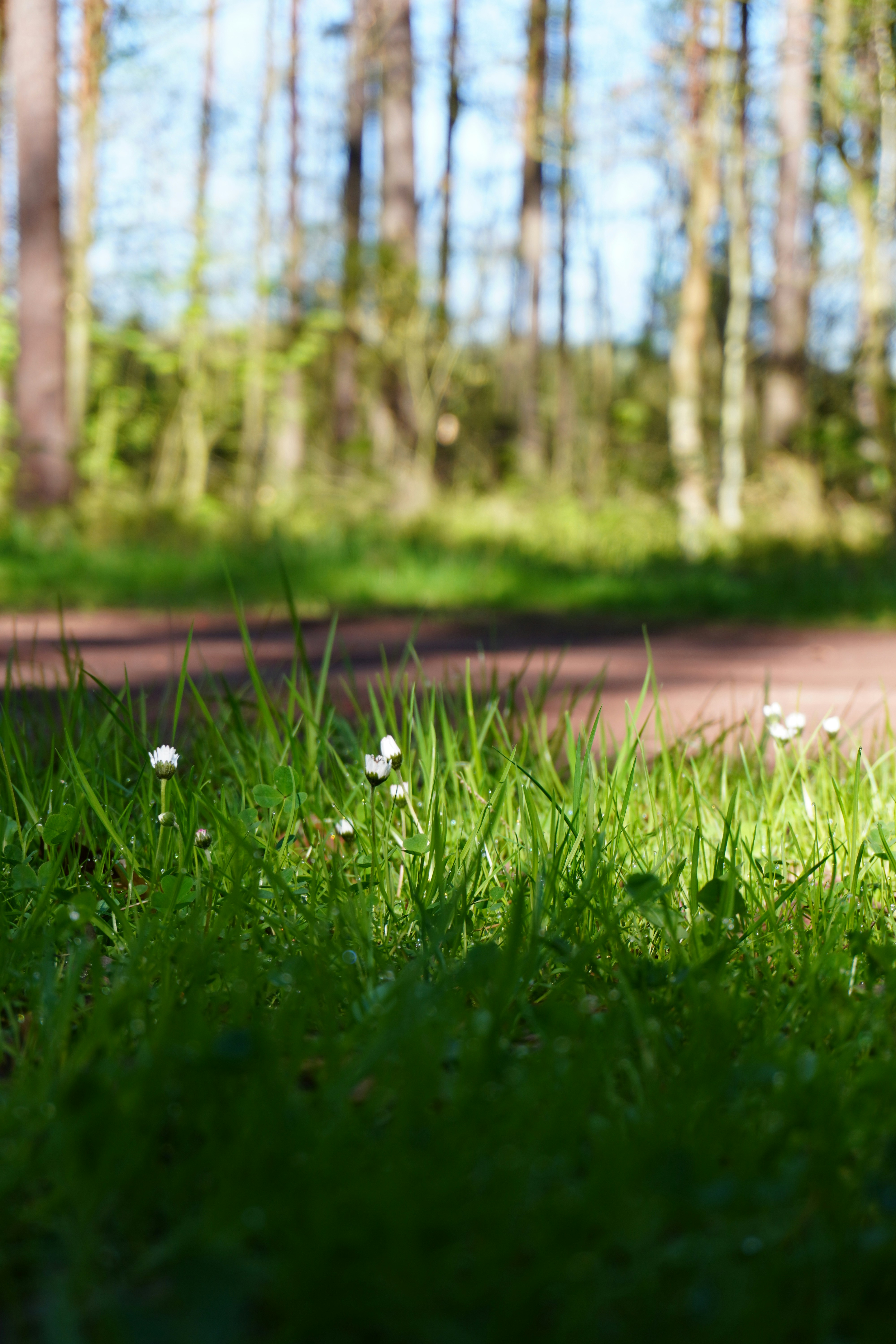 Photo by photographydamiankokot