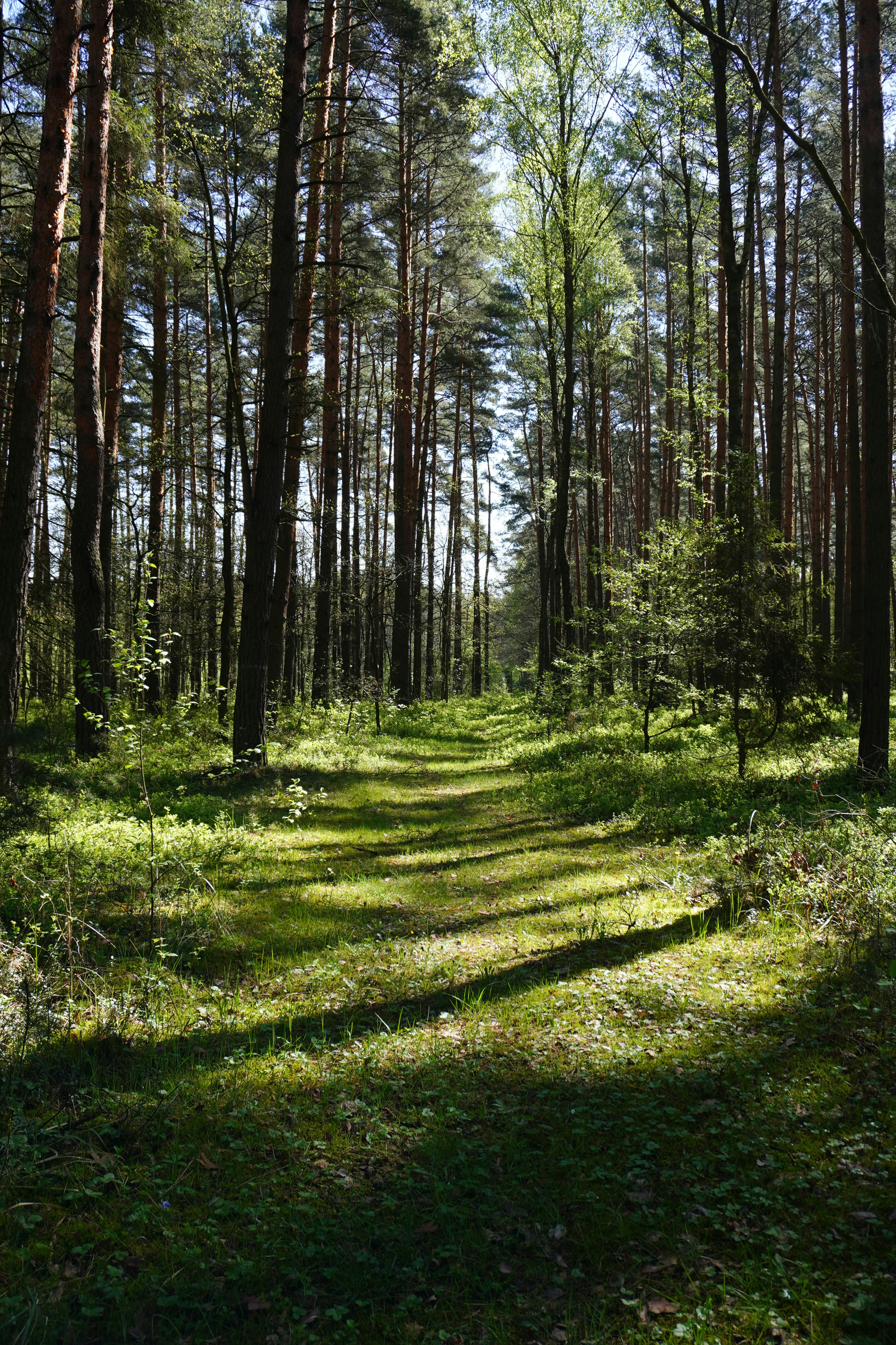 Photo by photographydamiankokot