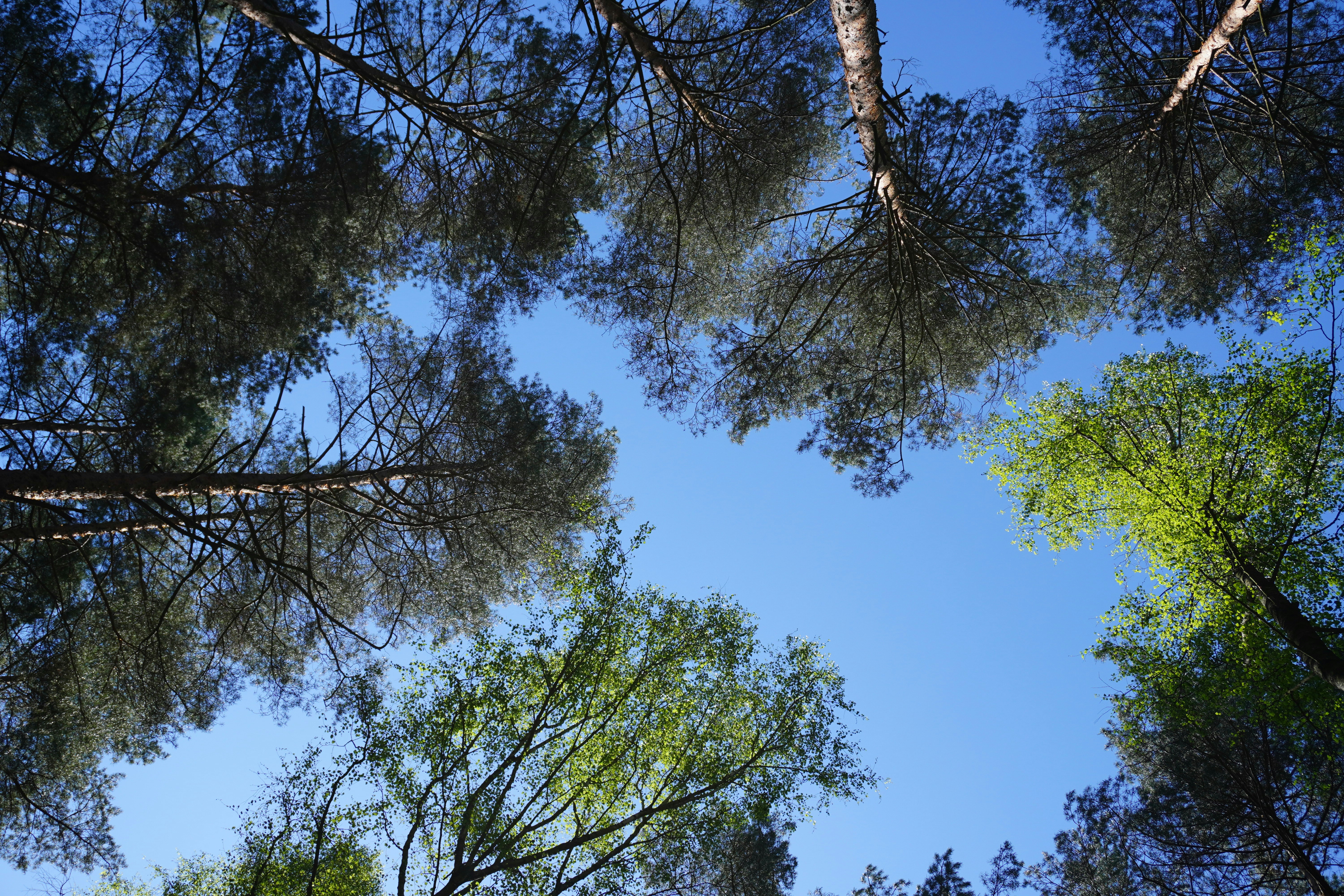 Photo by photographydamiankokot