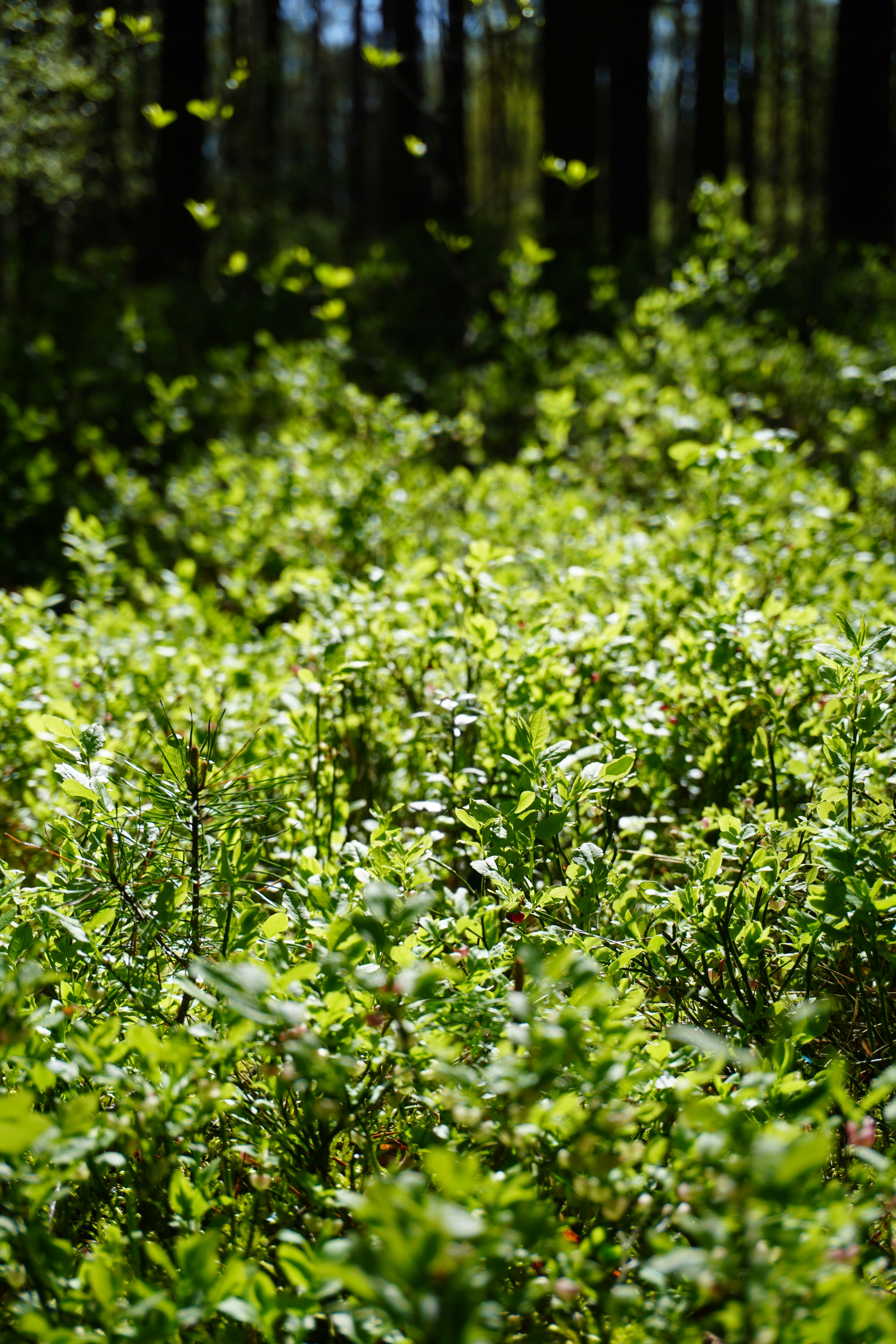 Photo by photographydamiankokot