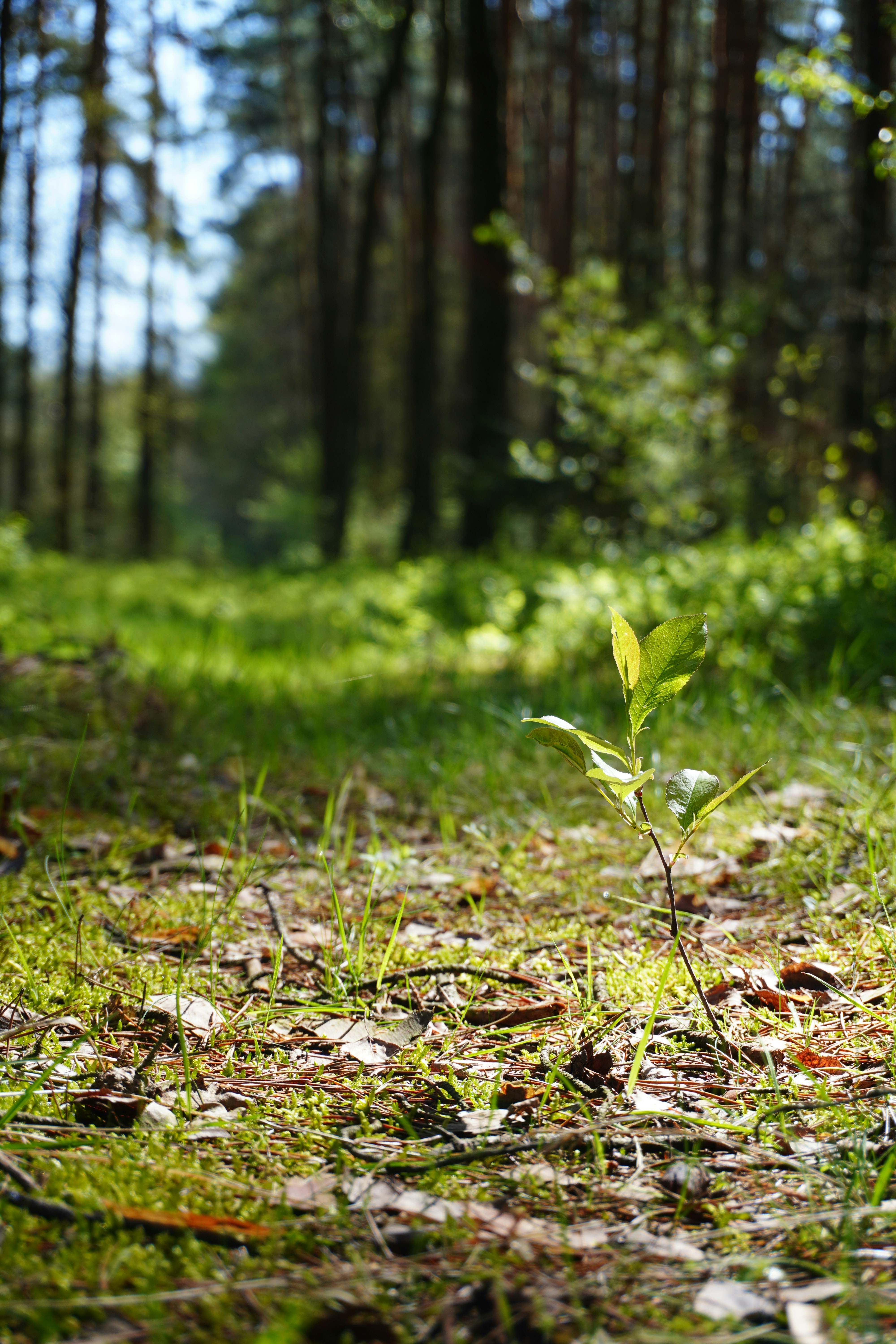 Photo by photographydamiankokot