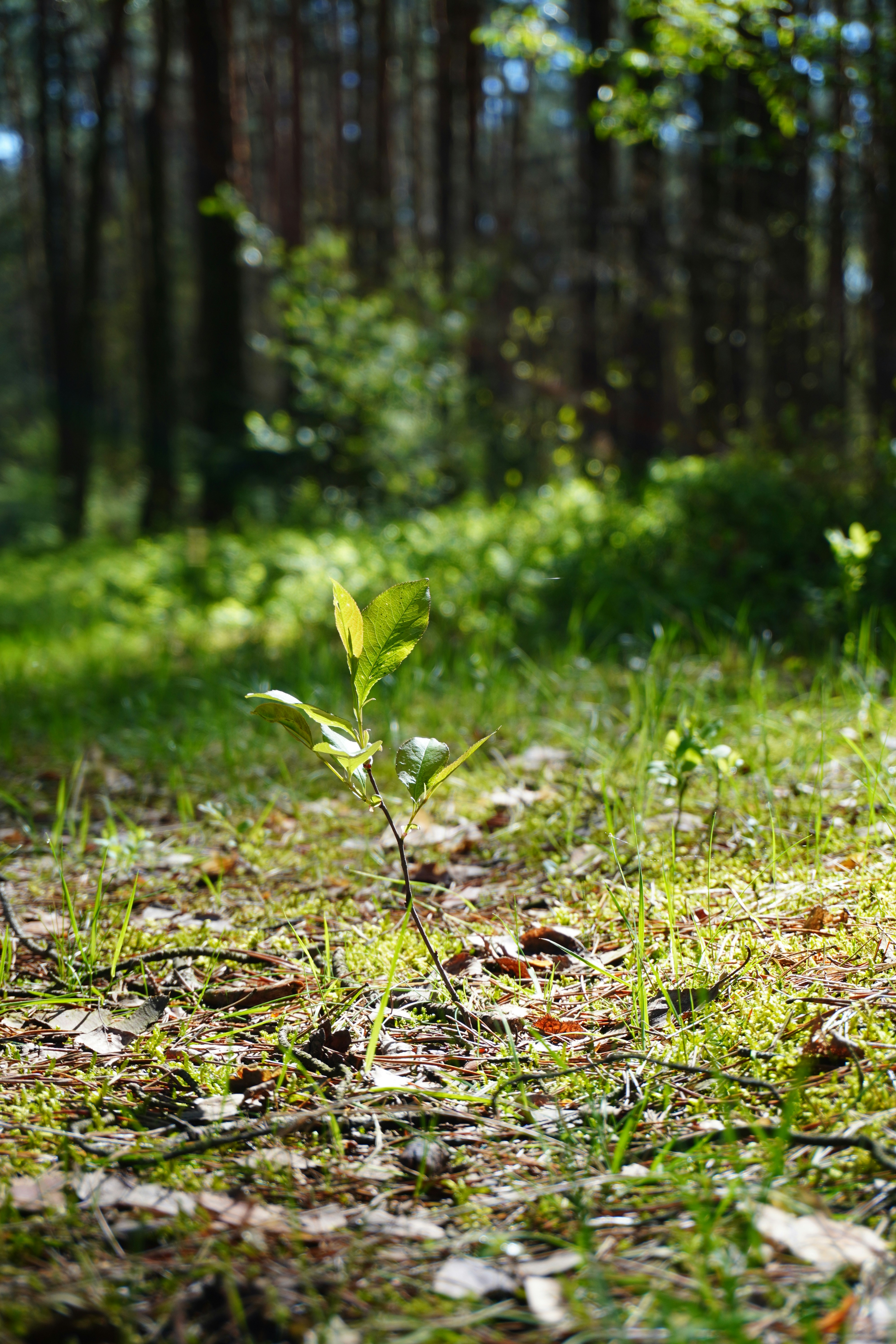 Photo by photographydamiankokot