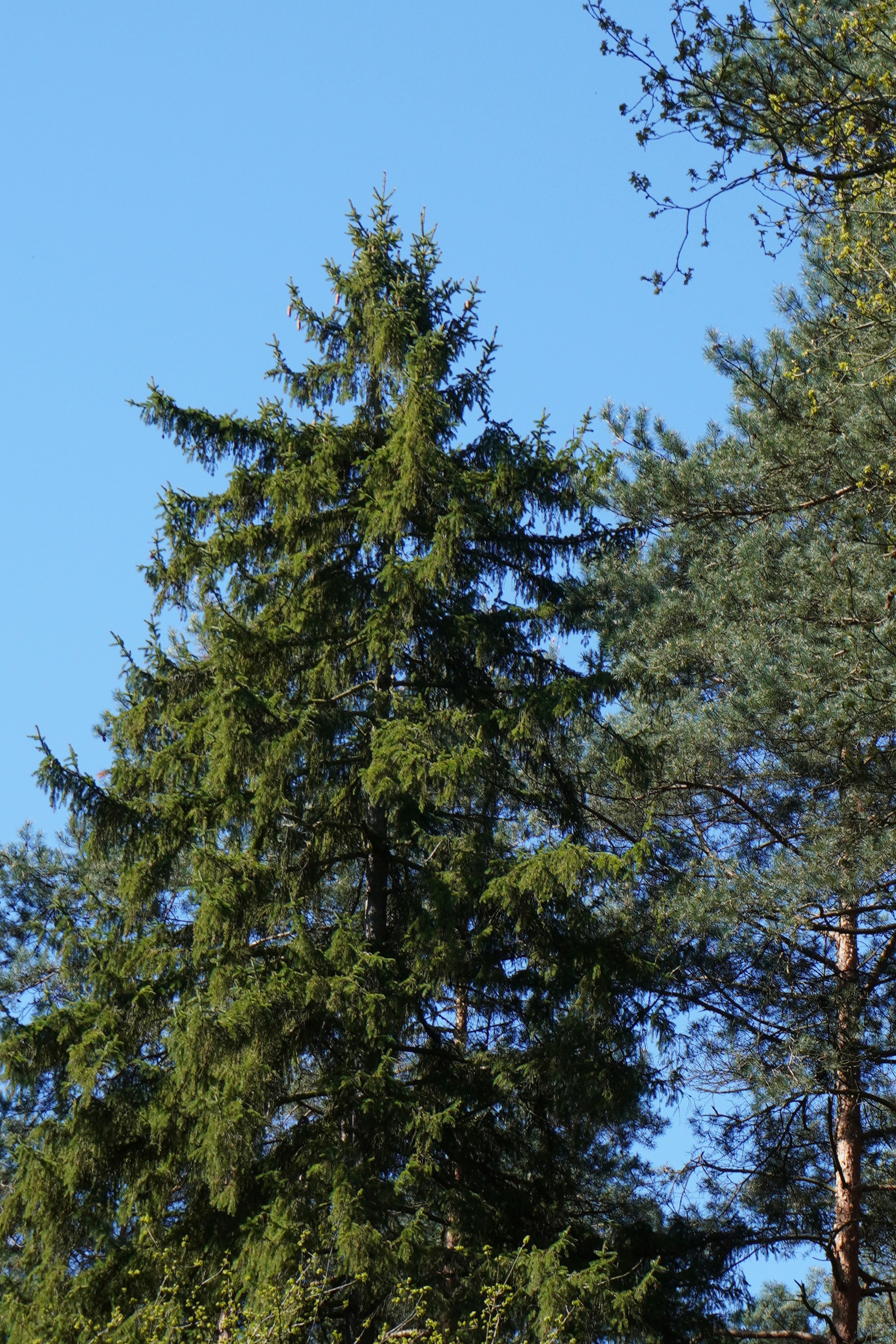 Photo by photographydamiankokot