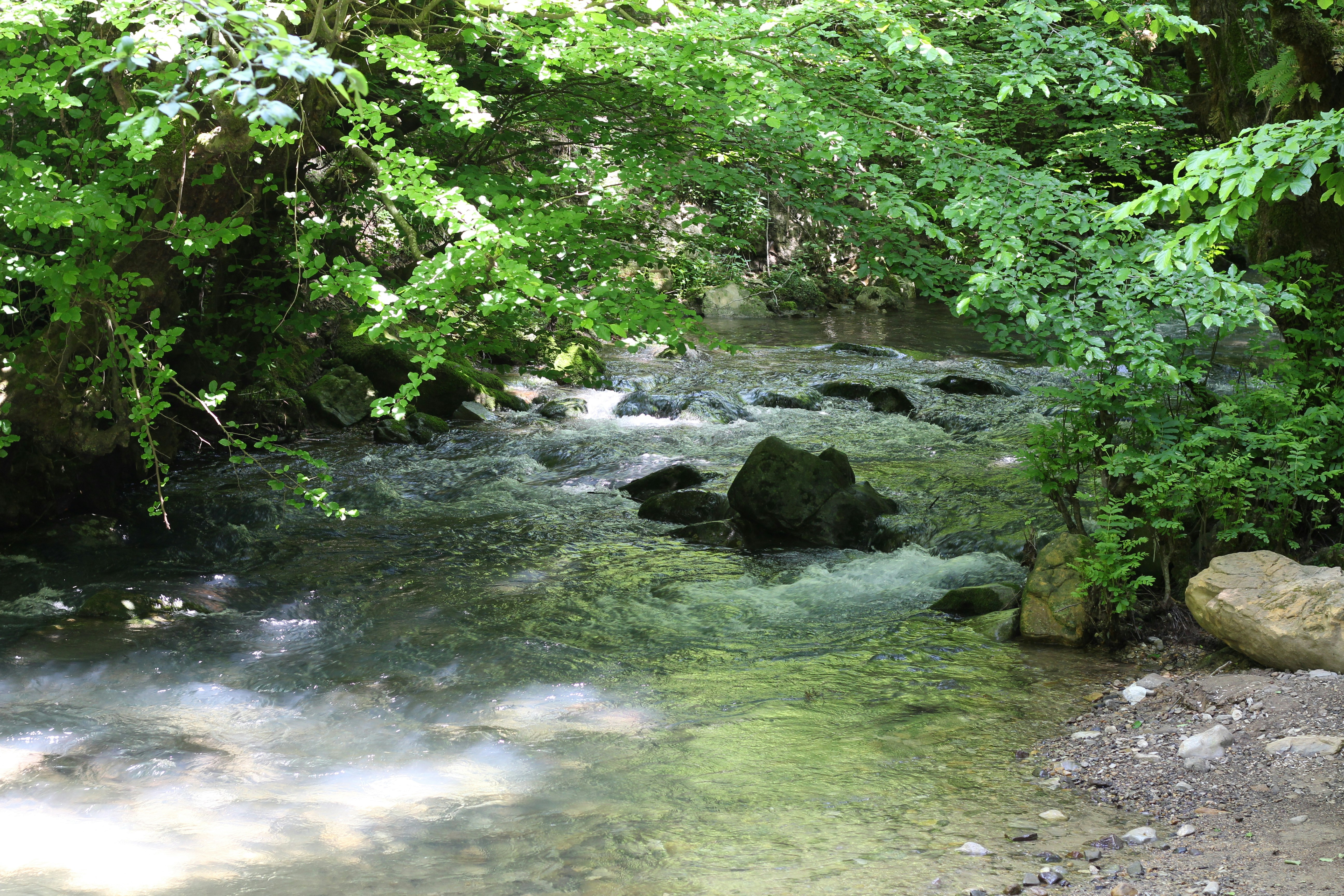 Photo by reza13660519