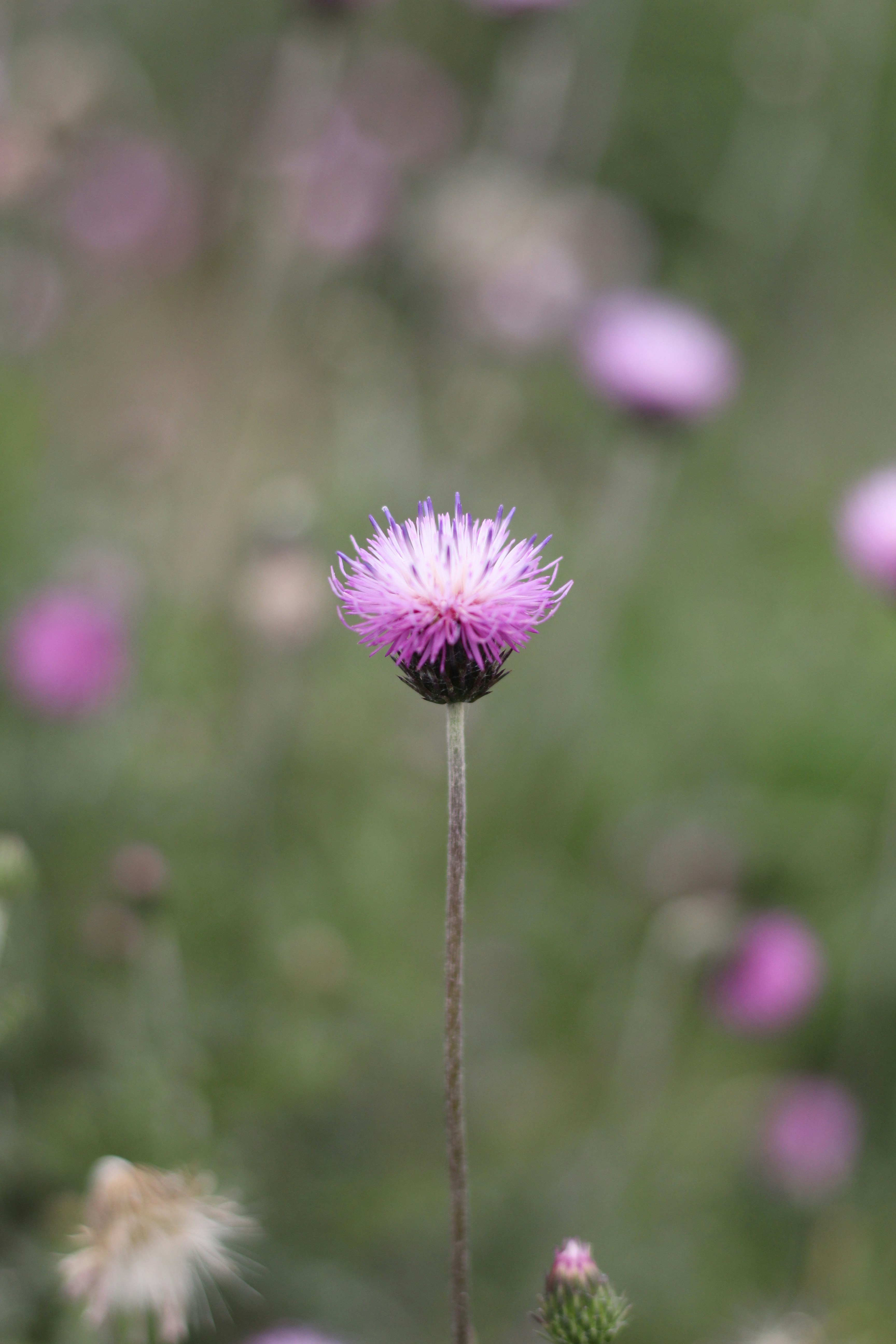 Photo by reza13660519