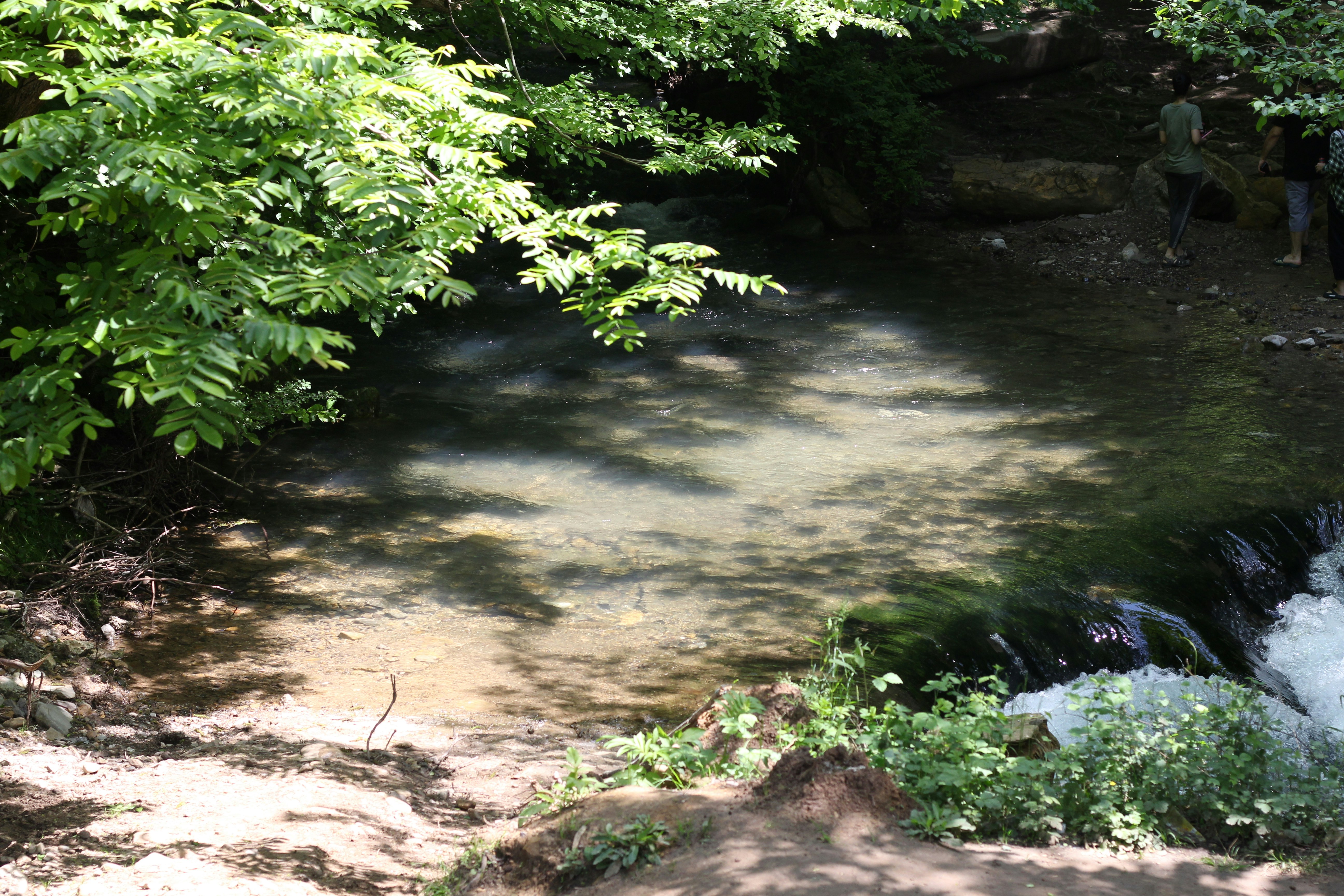 Photo by reza13660519