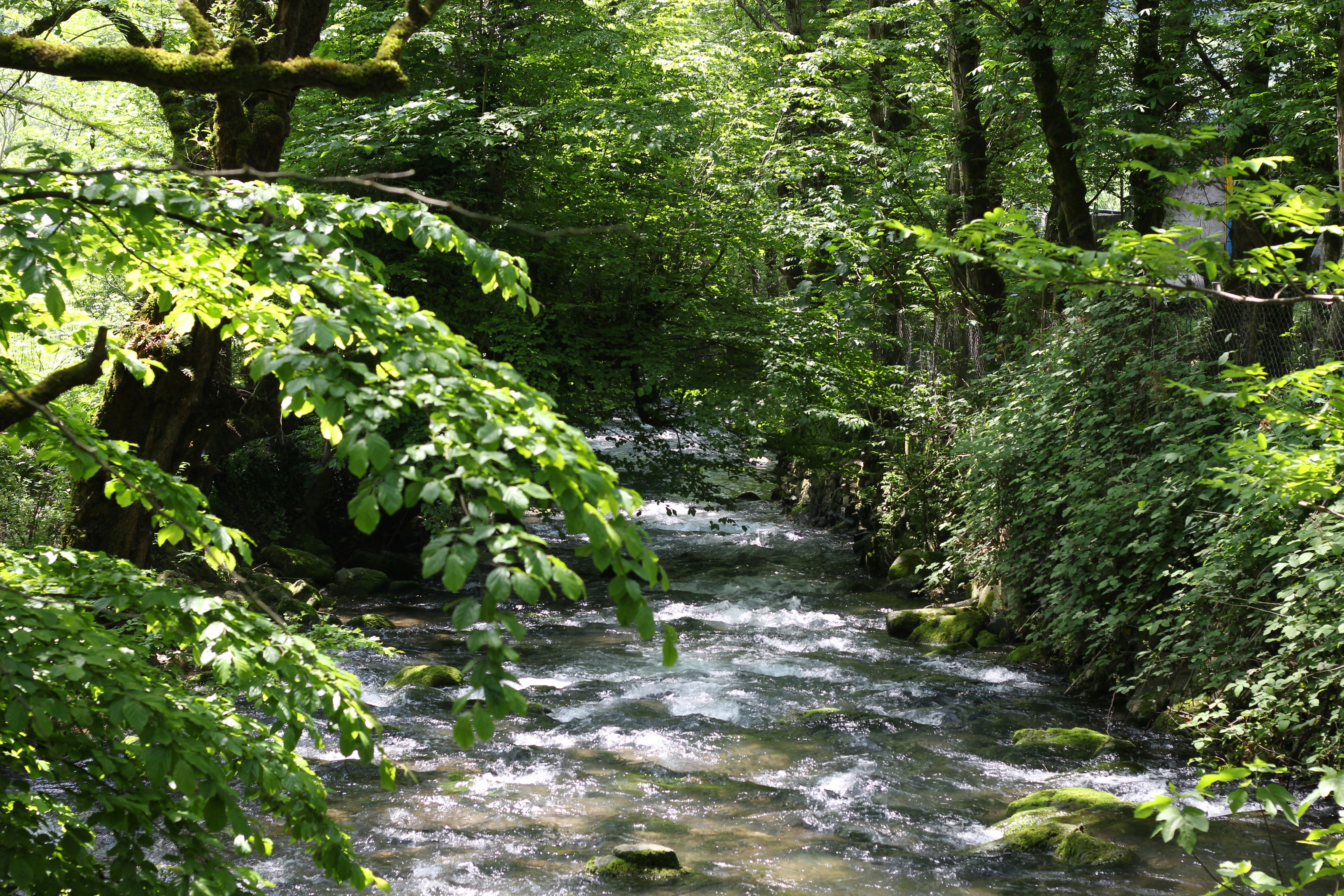 Photo by reza13660519