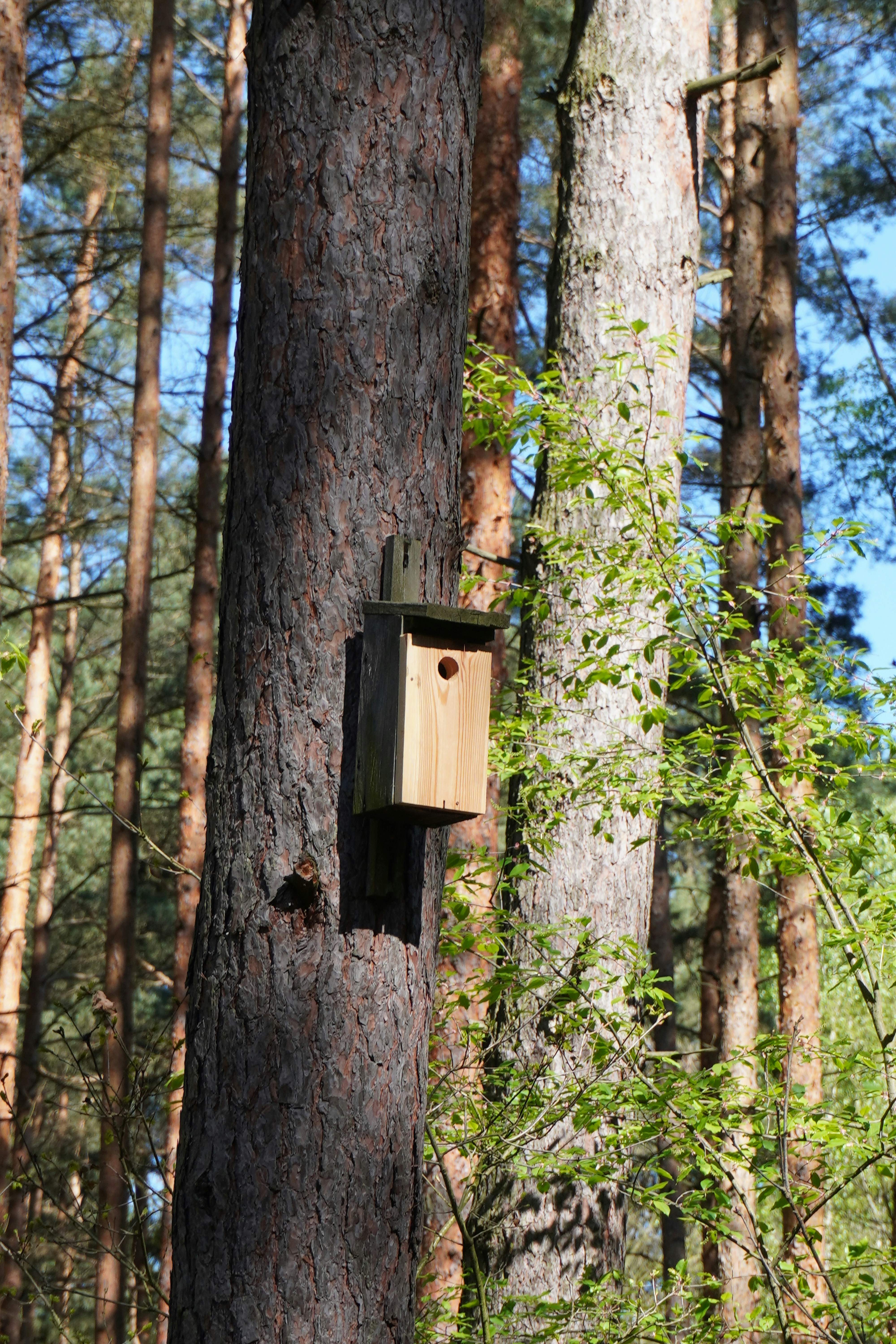 Photo by photographydamiankokot