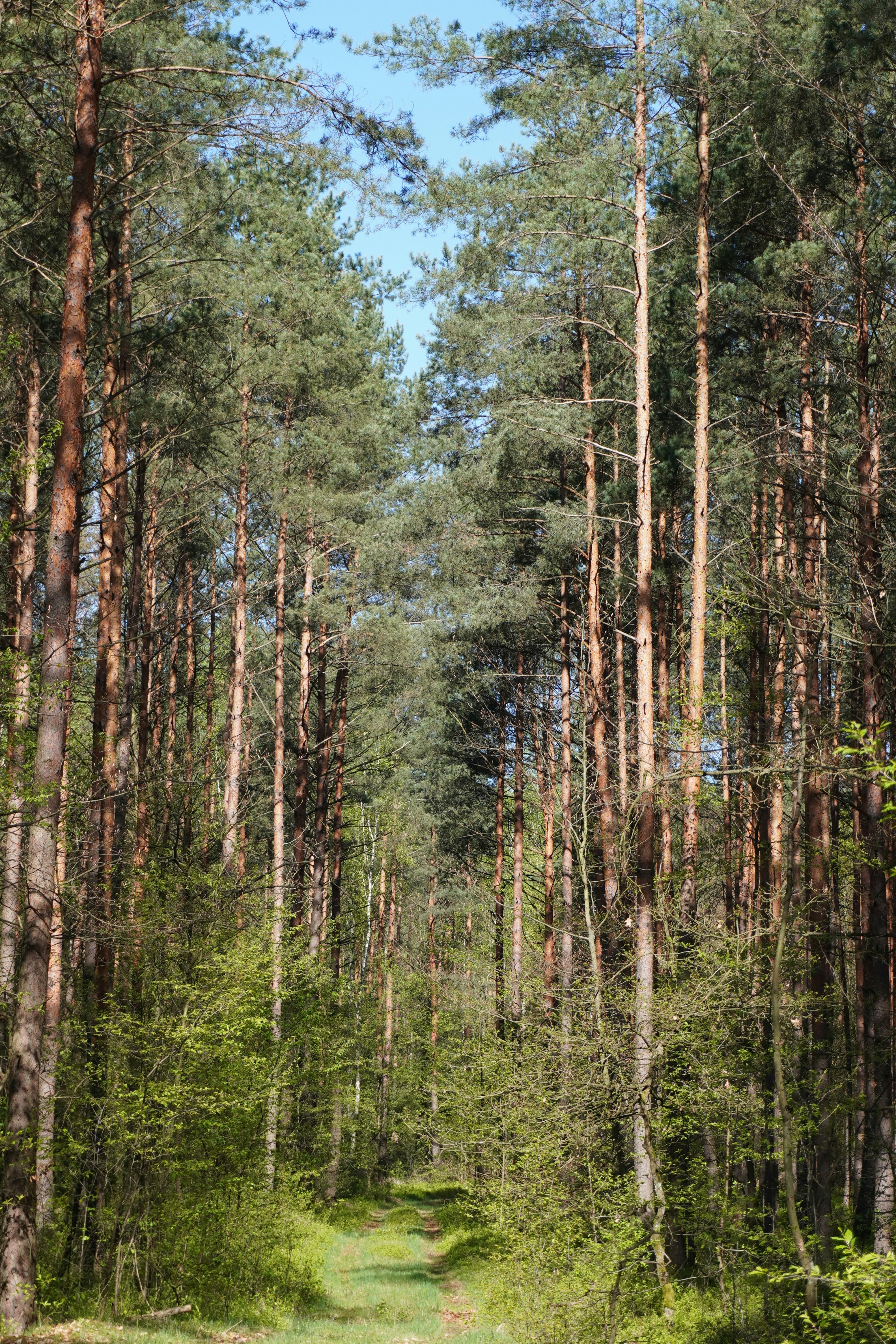 Photo by photographydamiankokot