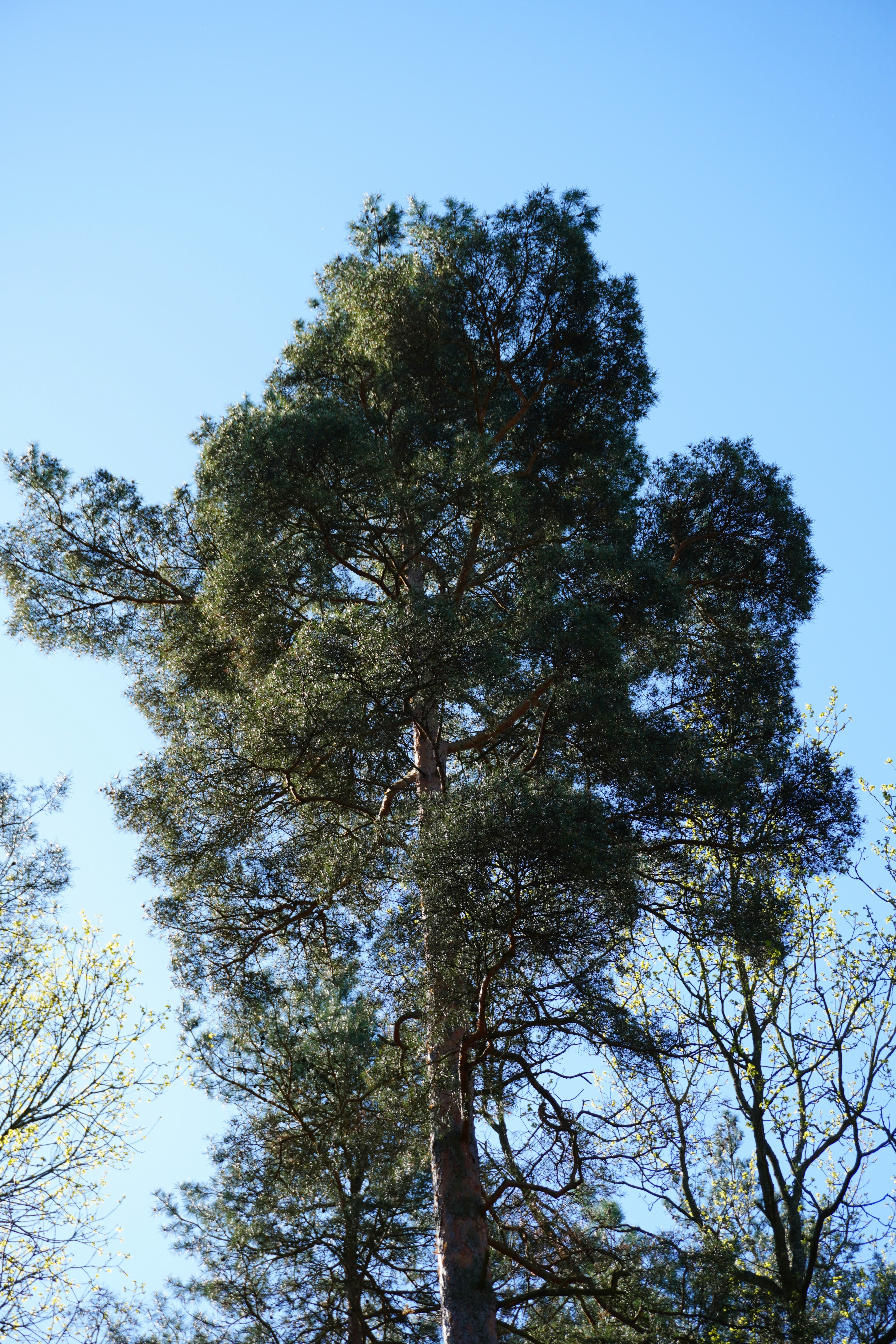 Photo by photographydamiankokot