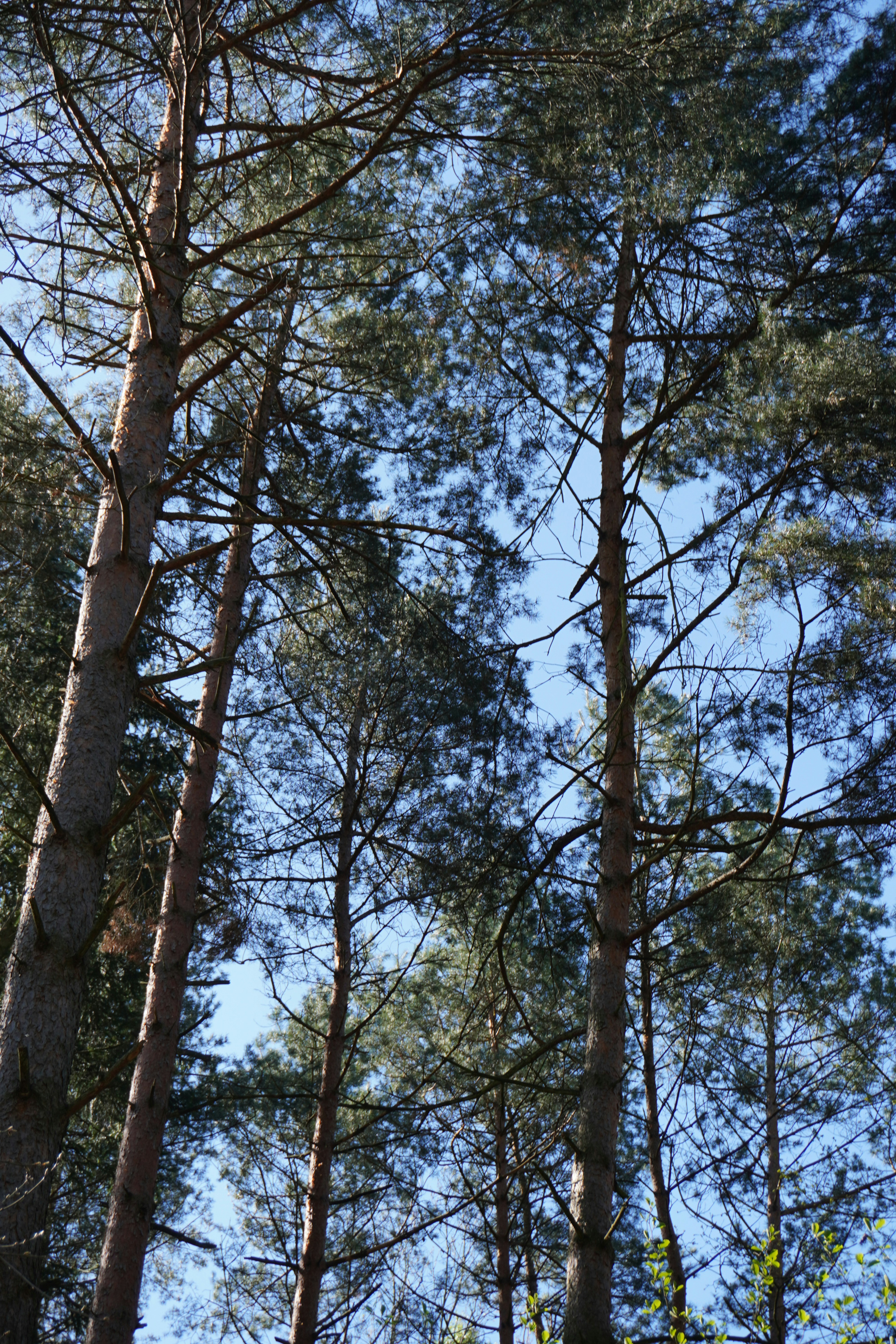 Photo by photographydamiankokot