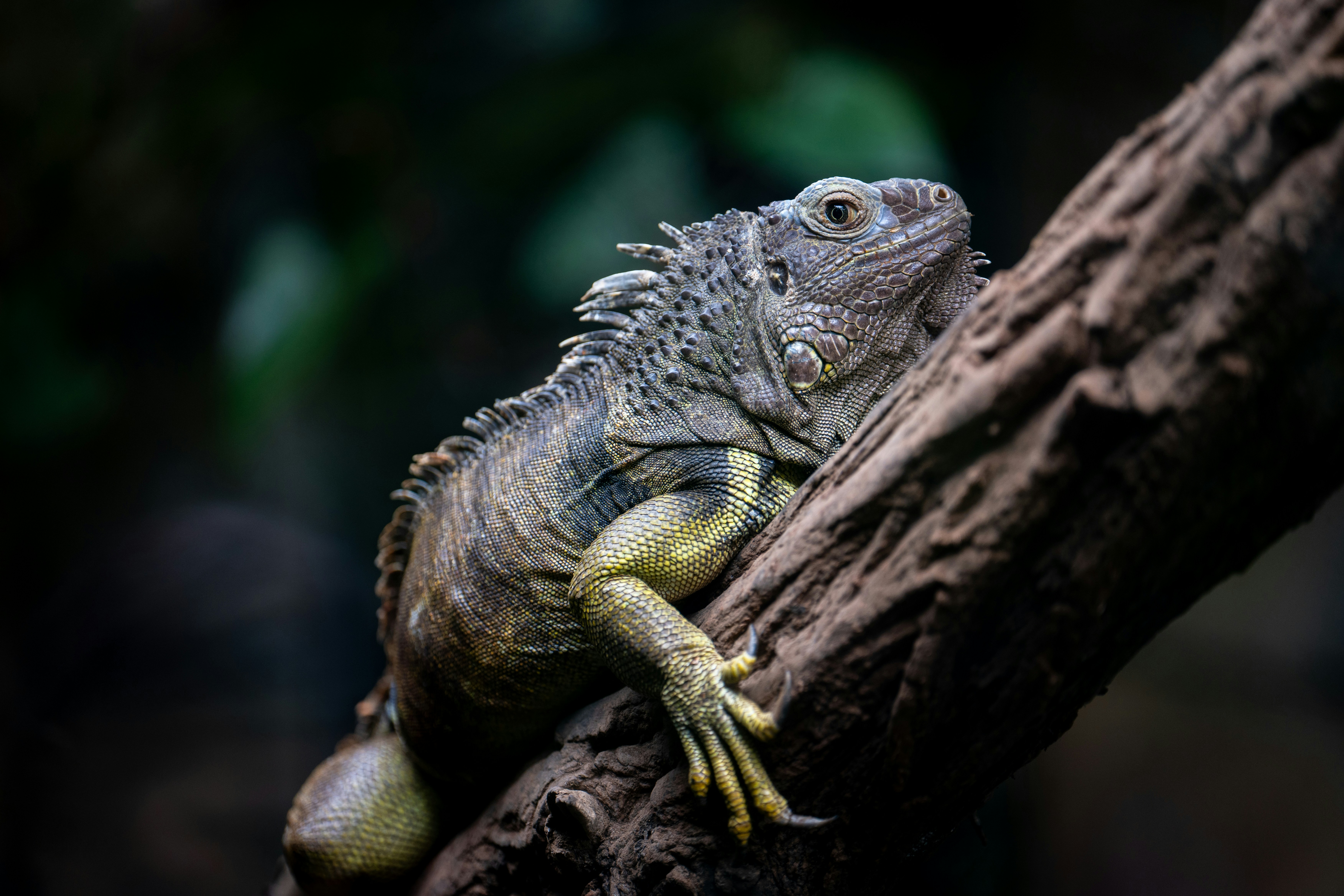 Photo by robertschwarz