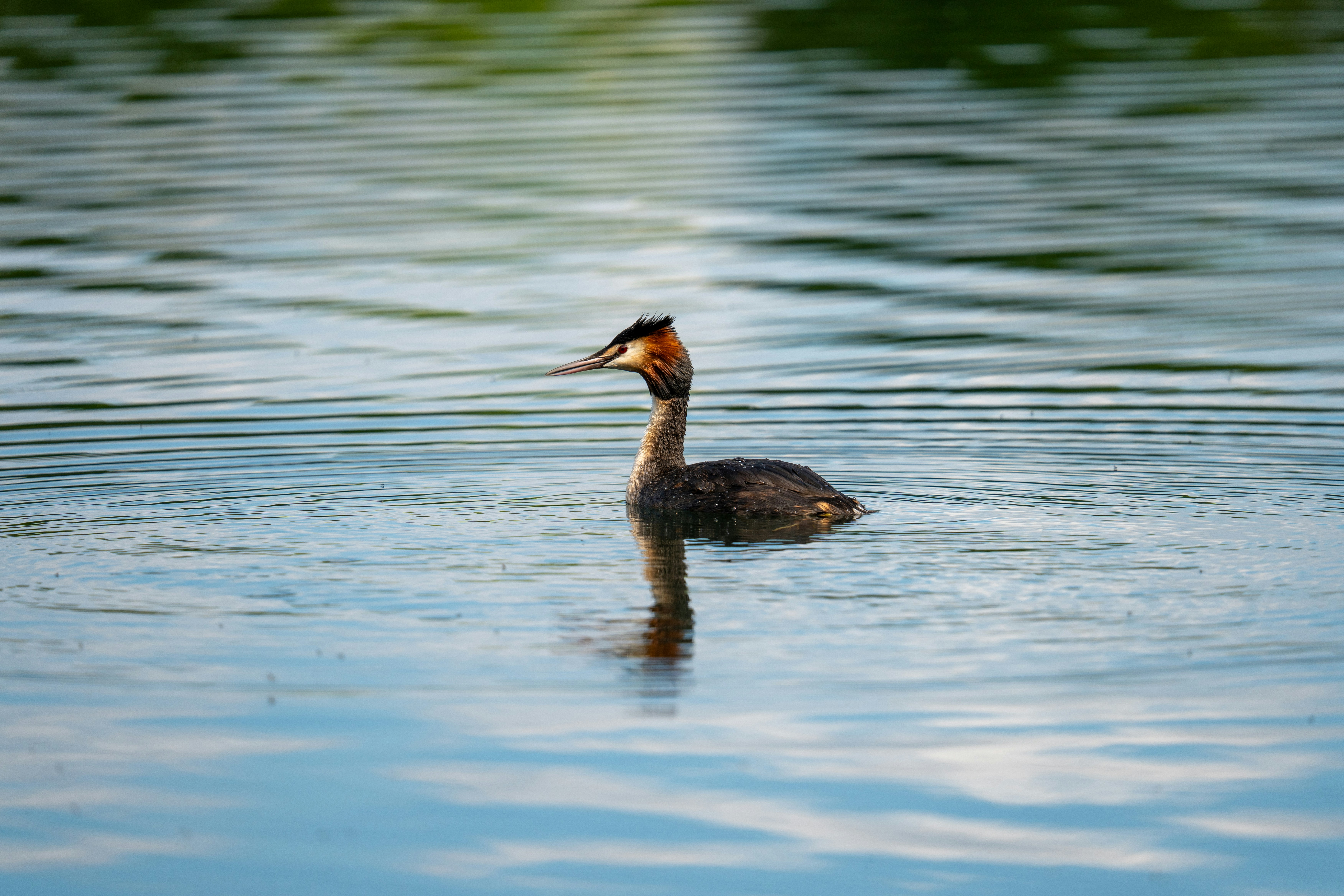 Photo by robertschwarz