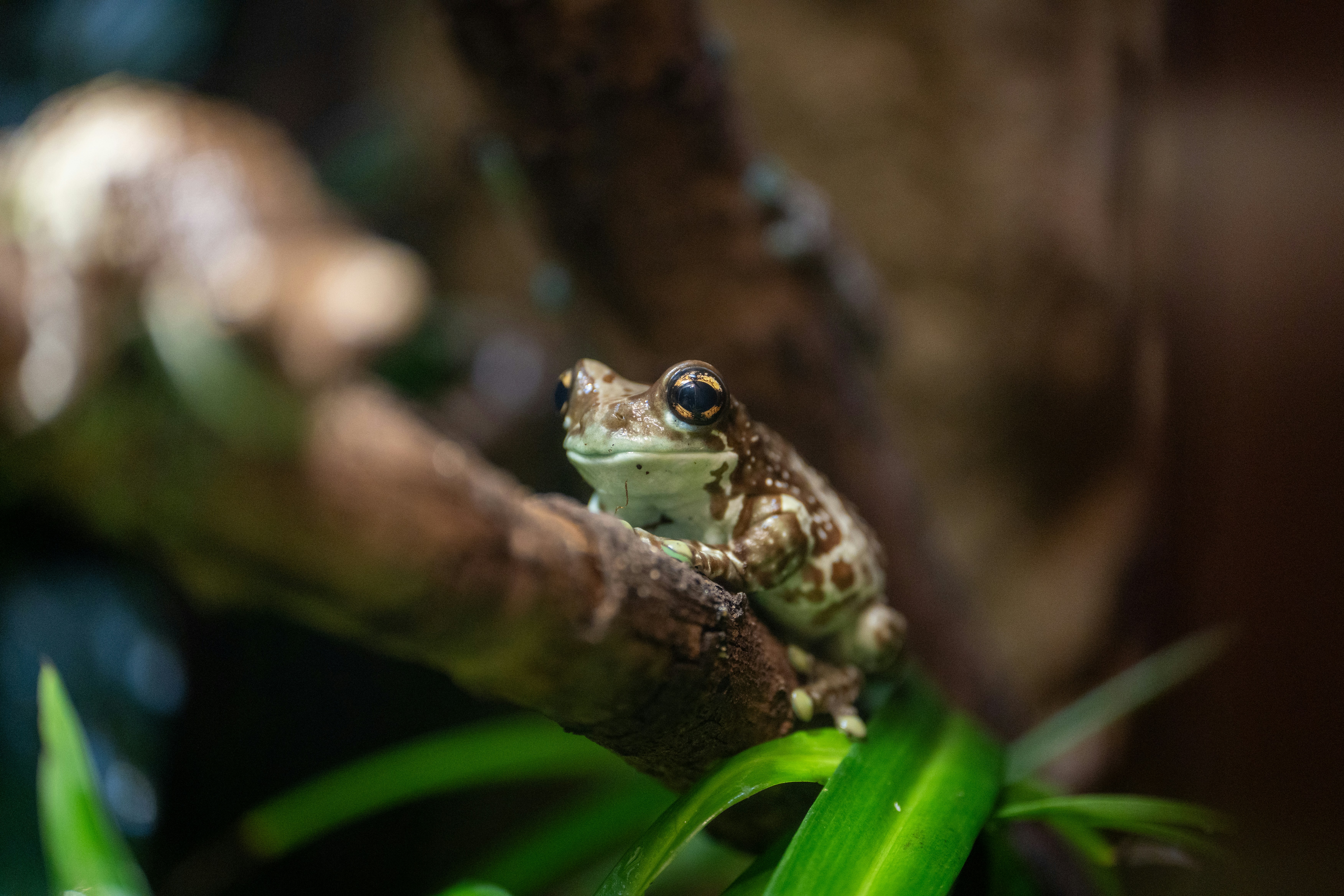 Photo by robertschwarz