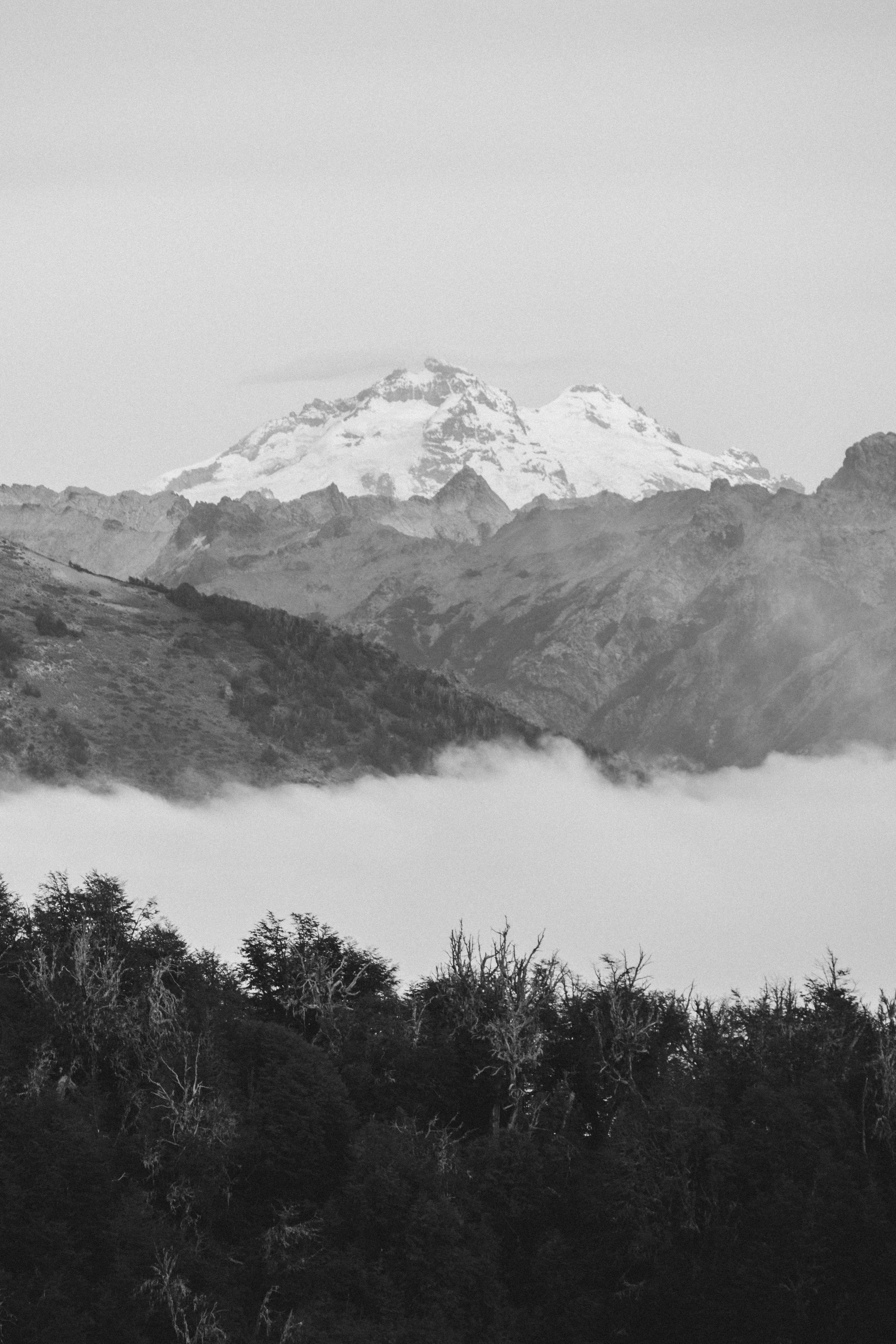 La cima innevata della montagna incombe su un mare di nuvole.