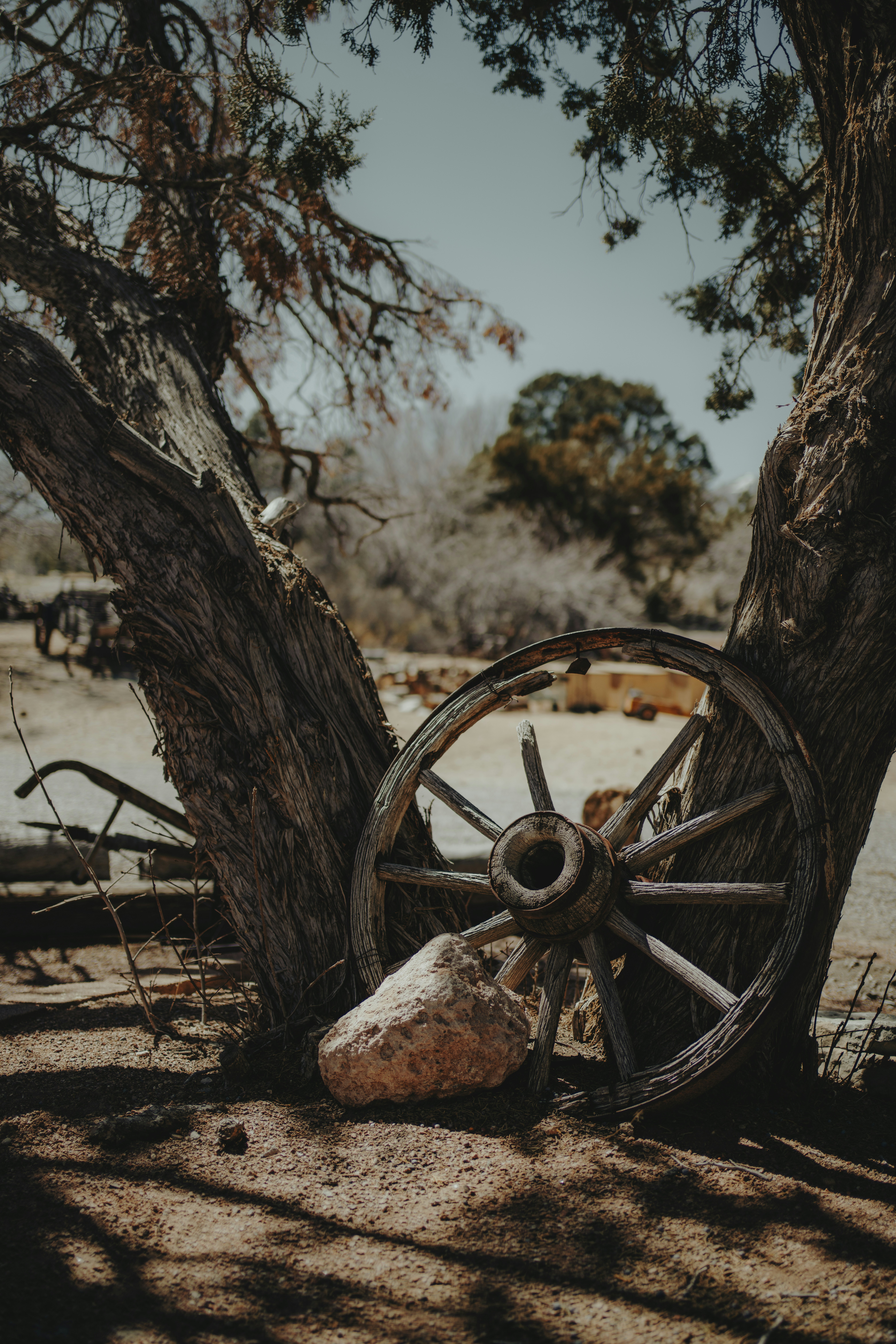 Photo by dimadallacqua