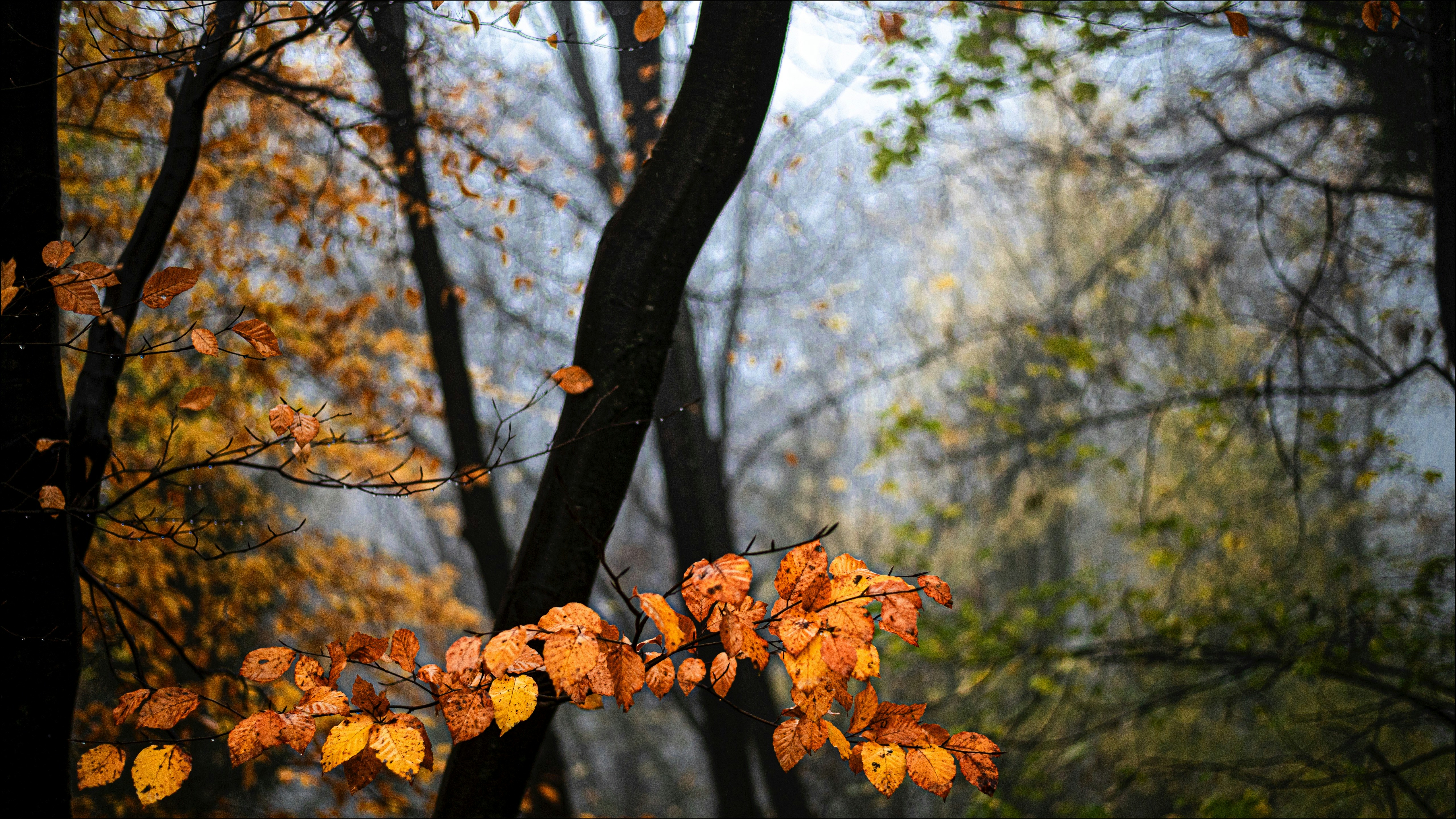 Photo by lucaakalu