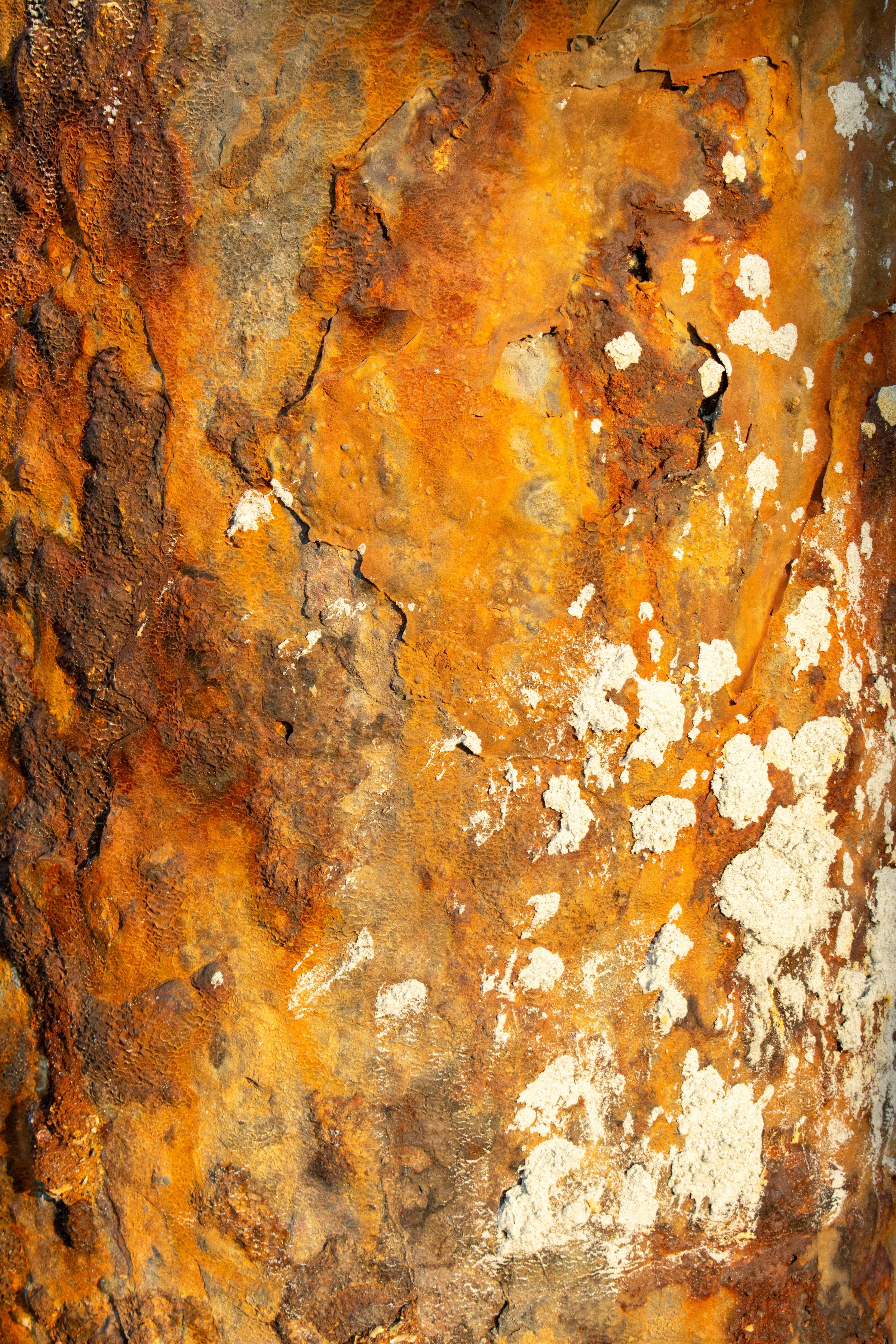 Rusty metal shows intricate patterns of rust.
