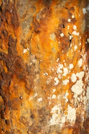 Rusty metal shows intricate patterns of rust.