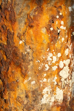 Rusty metal shows intricate patterns of rust.