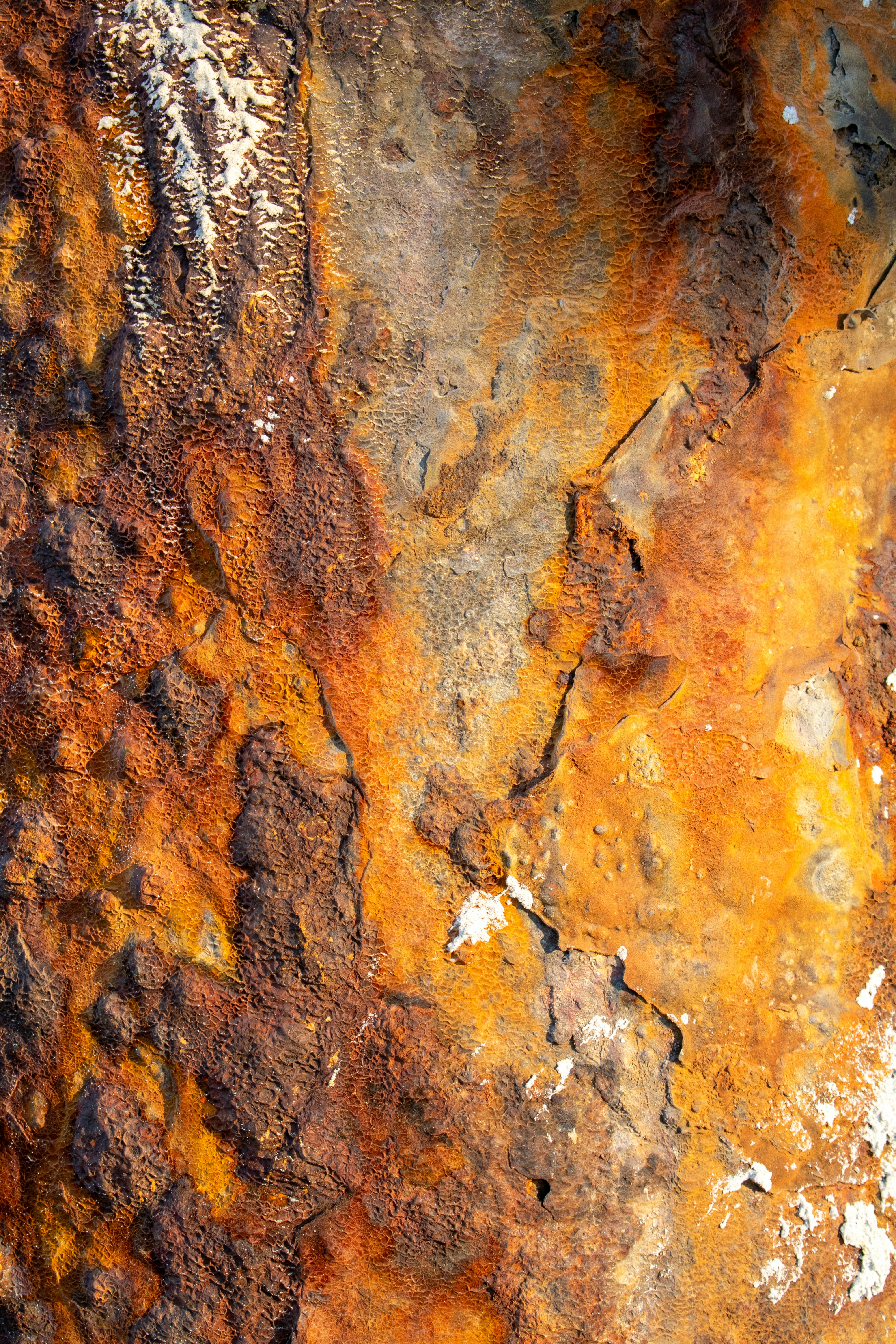 Rusty and textured rock surface shows beautiful colors.