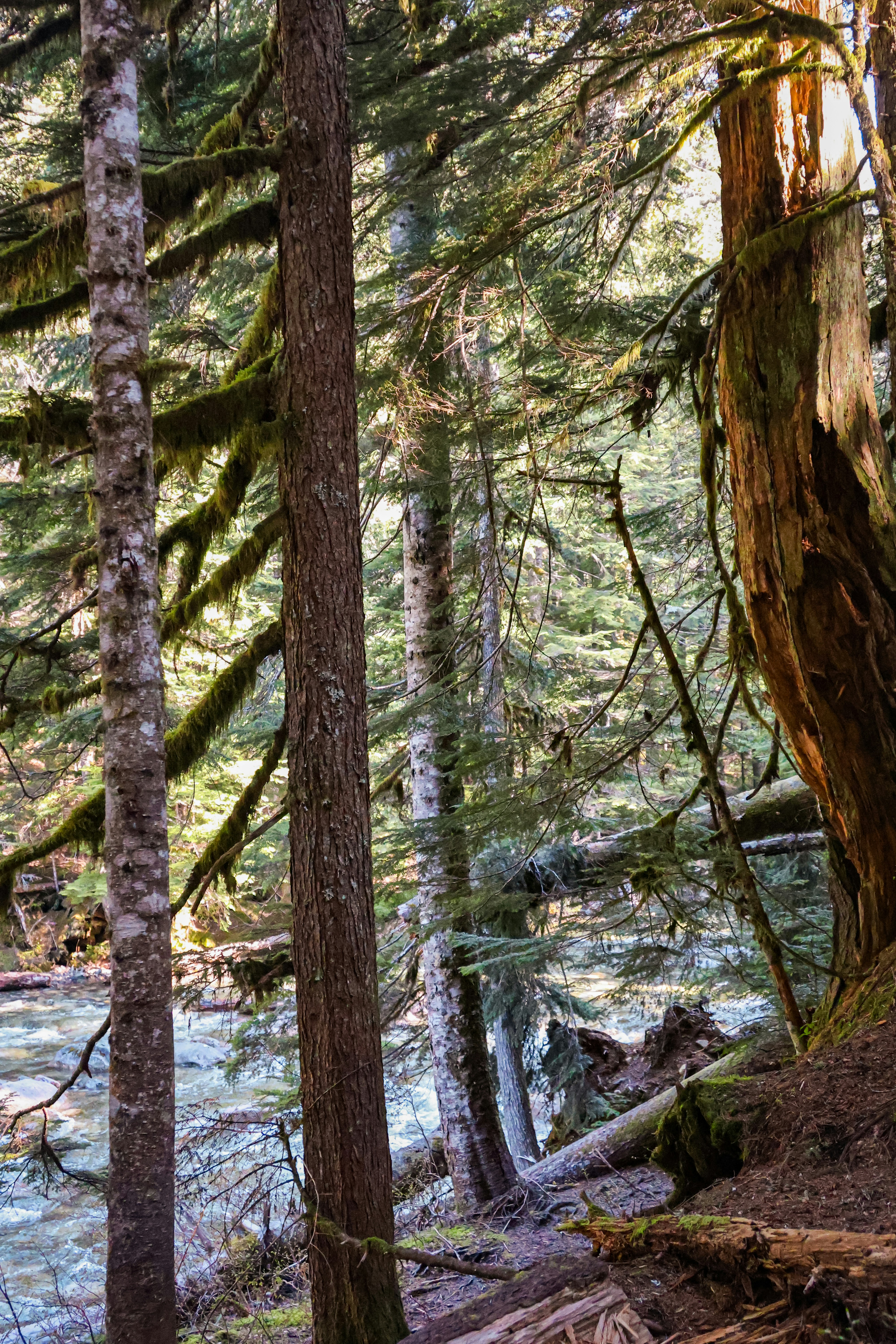 Photo by traveleroohlala